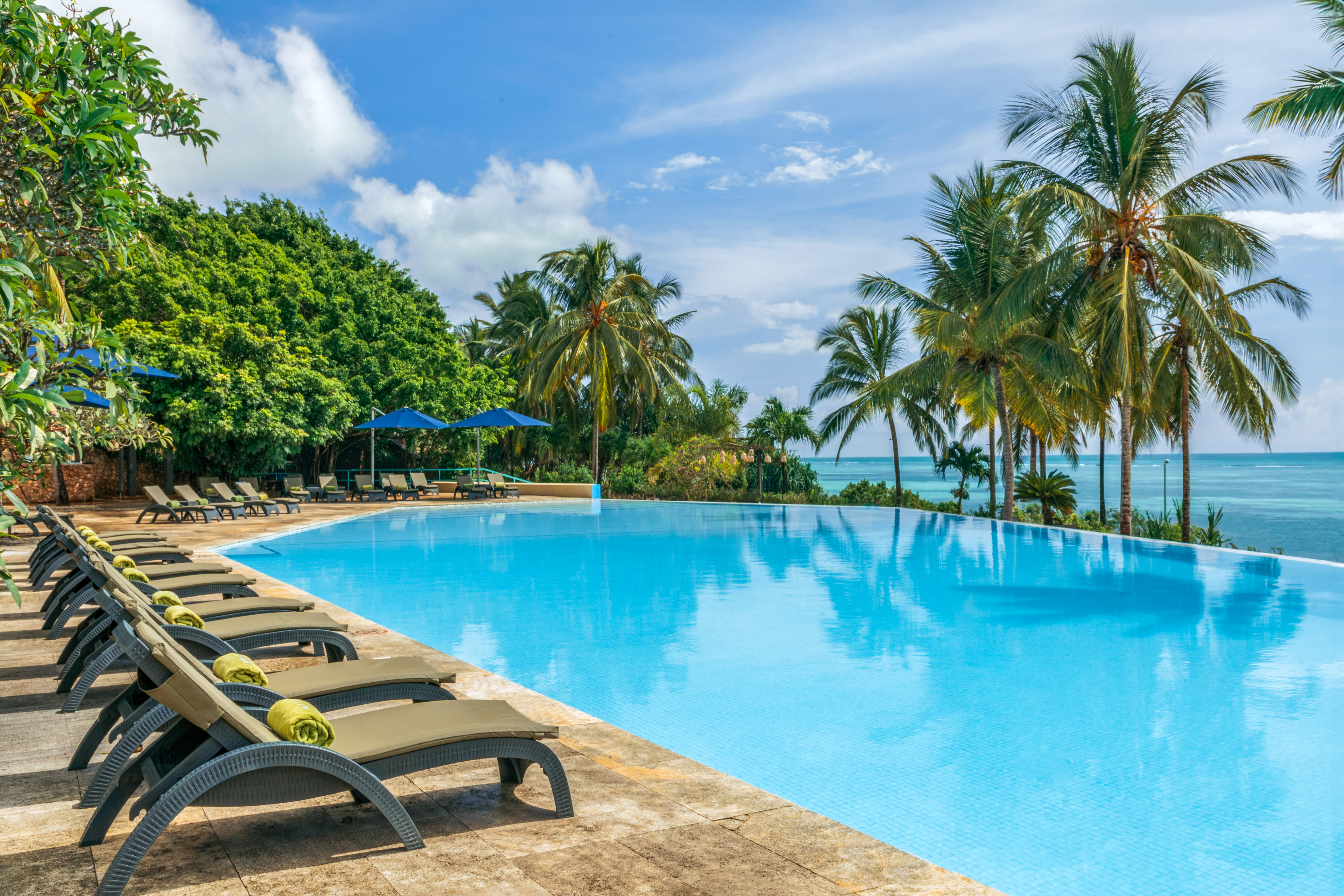 Tropical infinity pool with ocean view, palm trees, and lounge chairs.