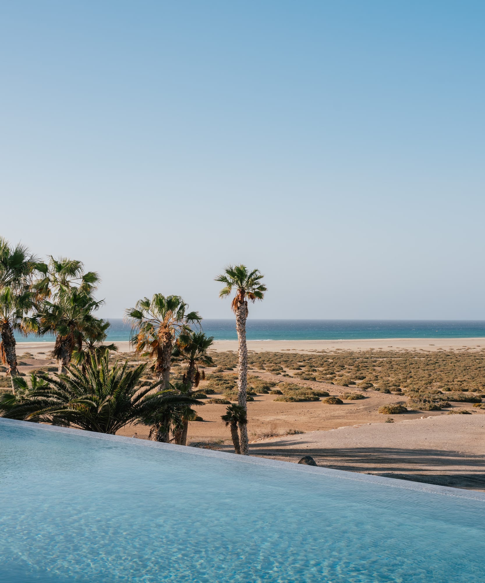 Infinity pool overlooking palm trees, sandy beach, and blue ocean under clear sky.