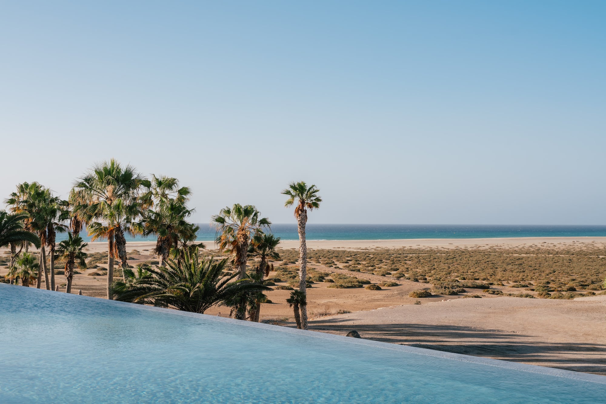Tropical infinity pool, palm trees, sandy beach, and blue ocean.