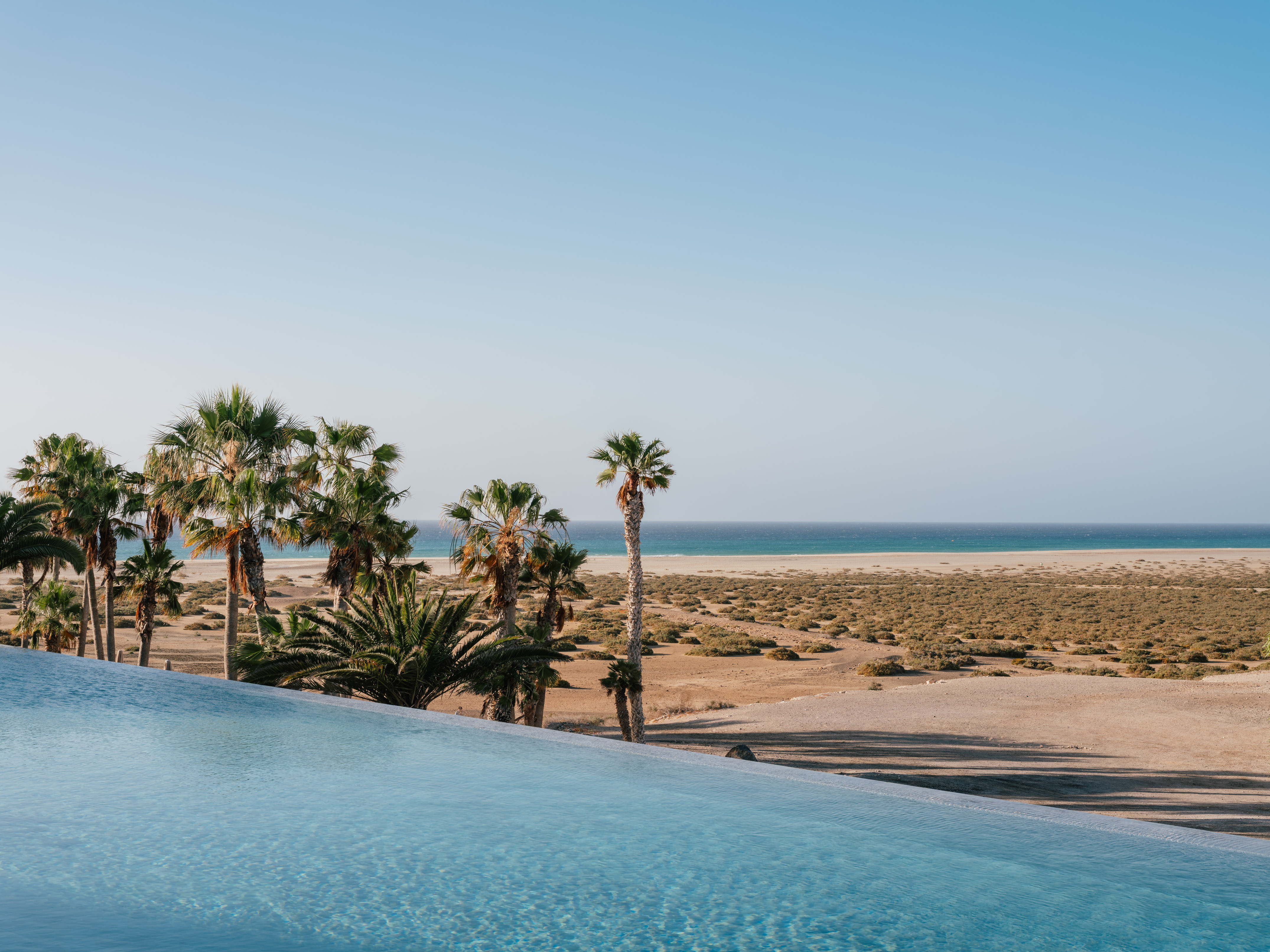 Infinity pool overlooking palm trees, sandy beach, and blue ocean under clear sky.