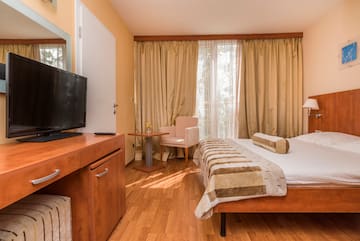 a room with a bed and a television