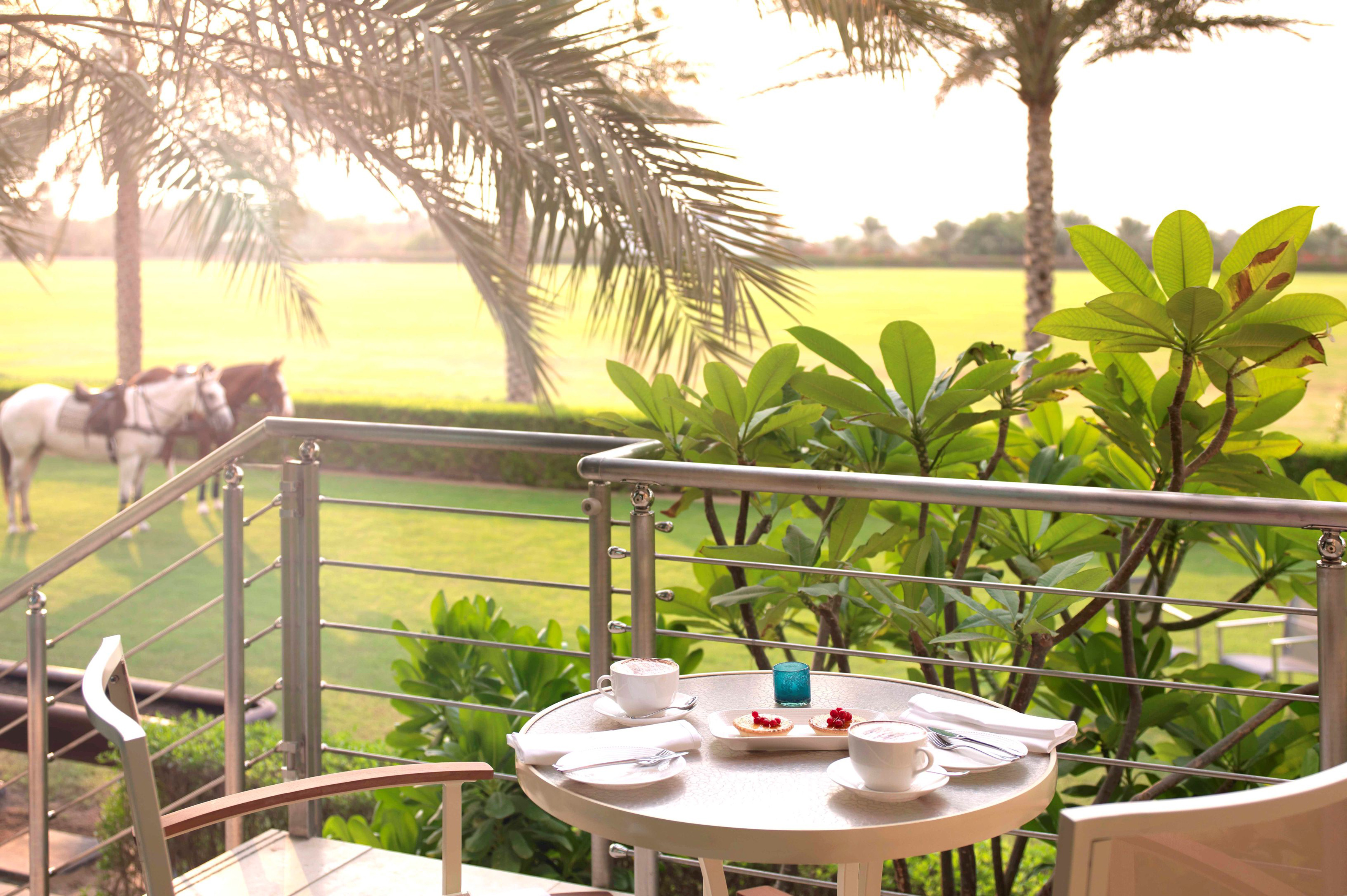 Balcony coffee & pastries, horses on green polo field, palm trees.