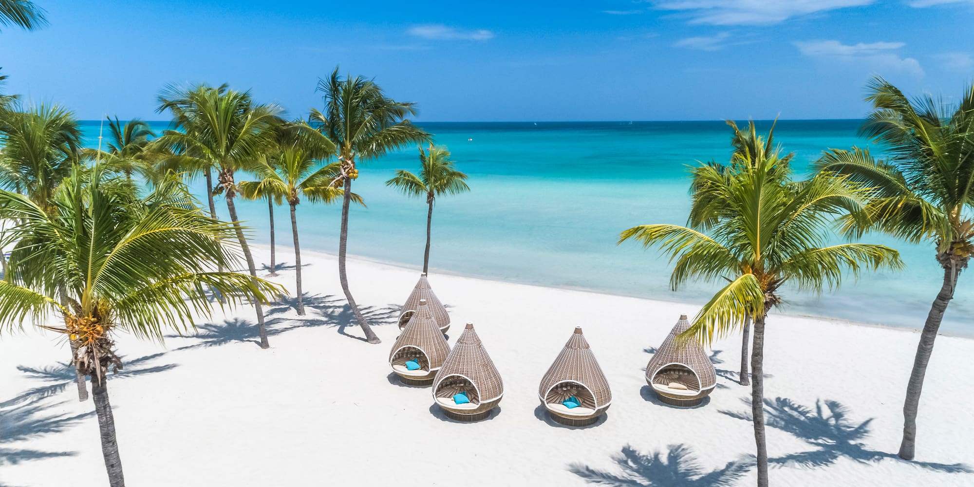 a group of chairs on a beach with palm trees
