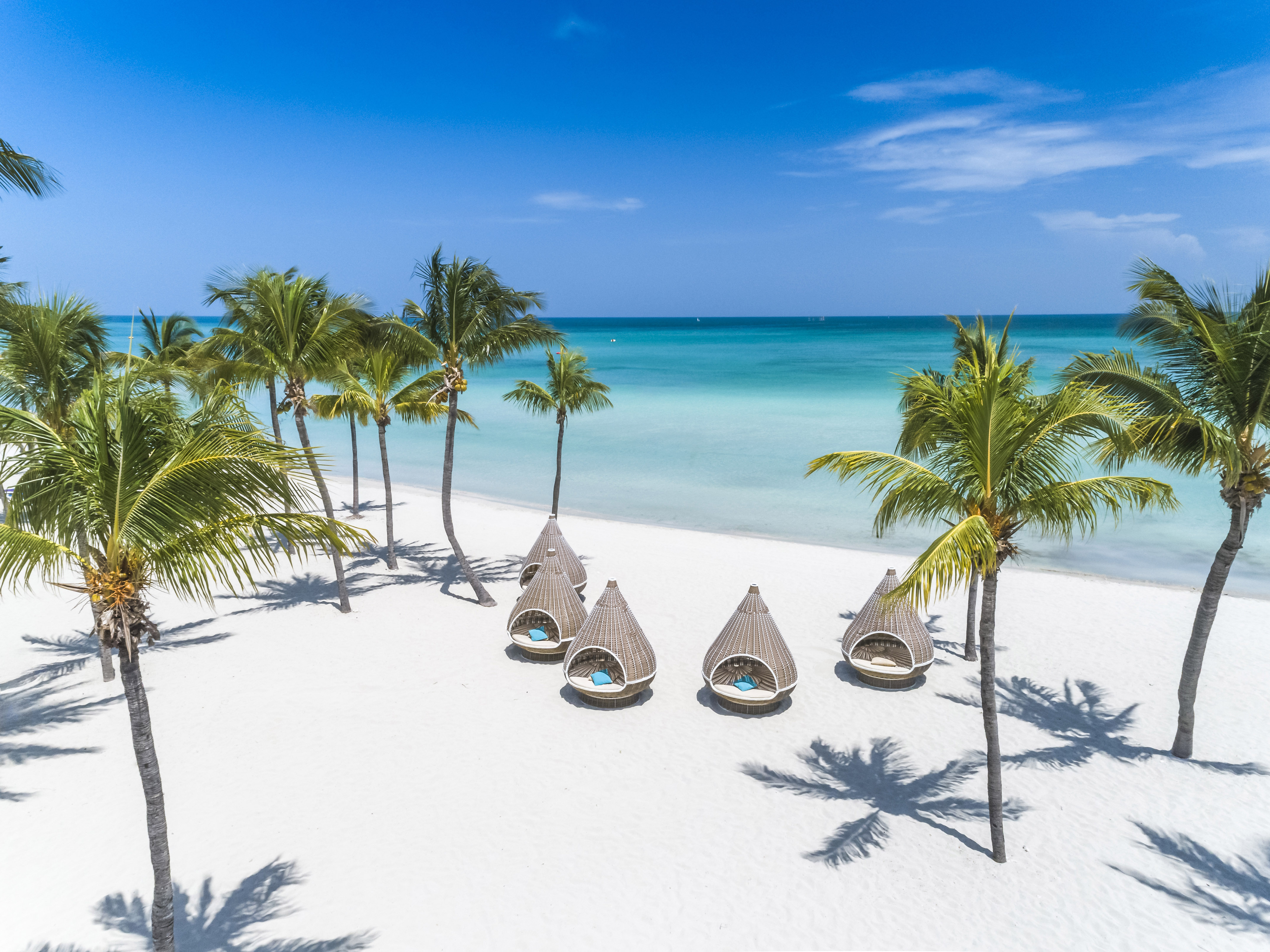 a group of chairs on a beach with palm trees