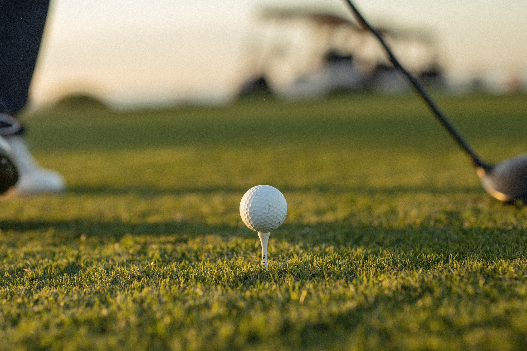 a golf ball on a tee