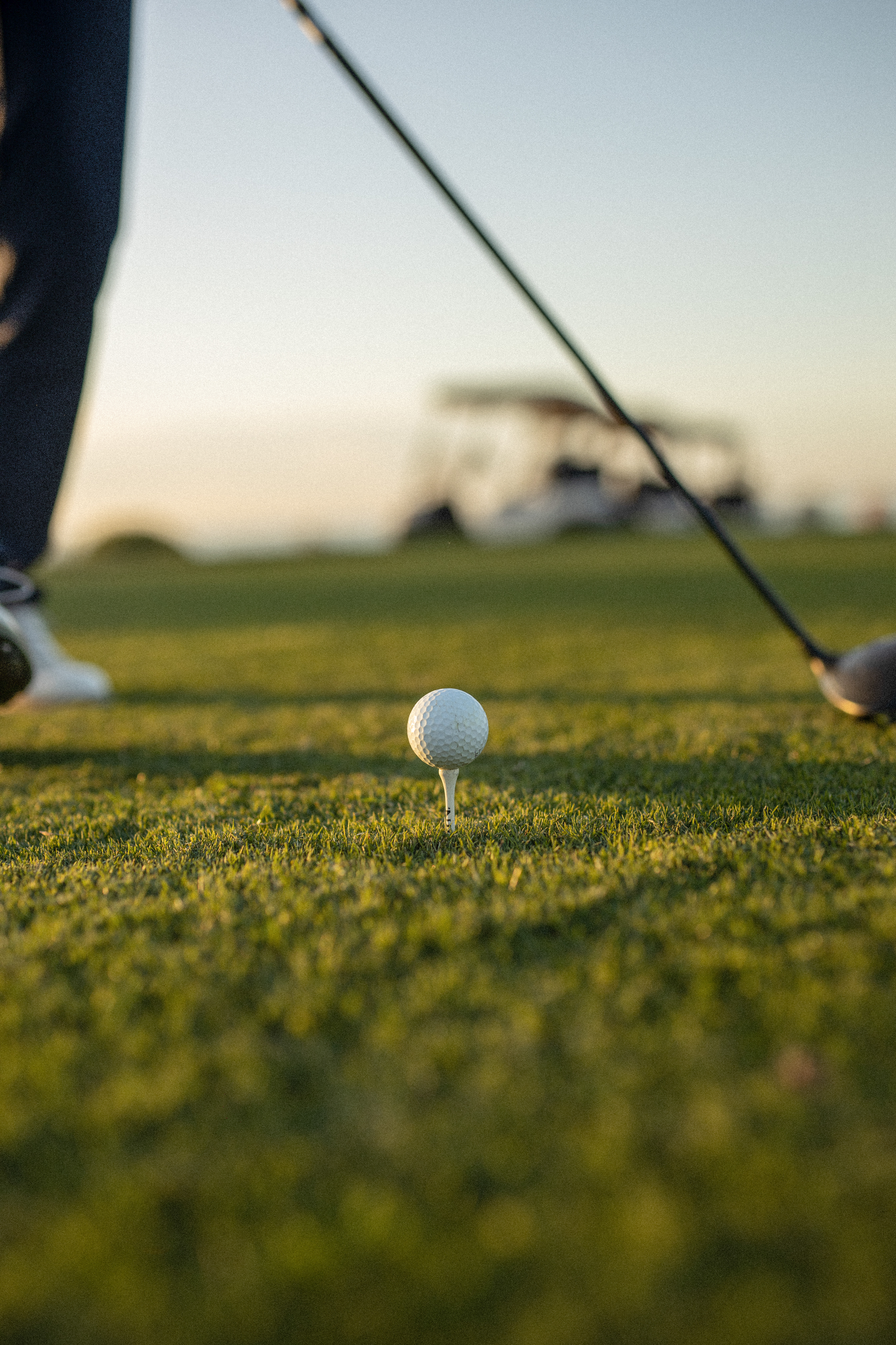 Golf ball on a tee, golf club poised, on a sunlit green golf course.