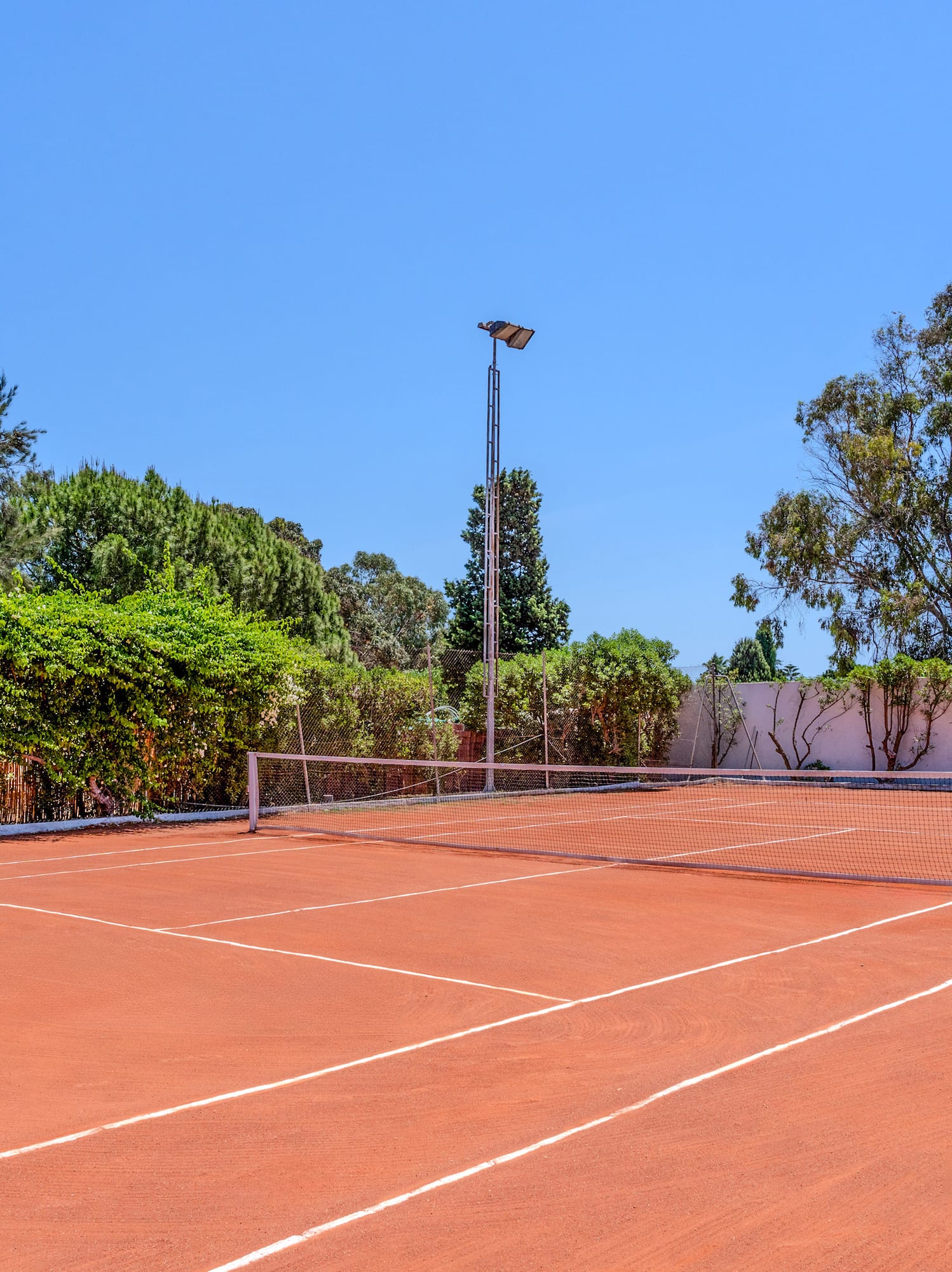 Cancha de tenis de arcilla con red, rodeada de árboles y cielo azul.