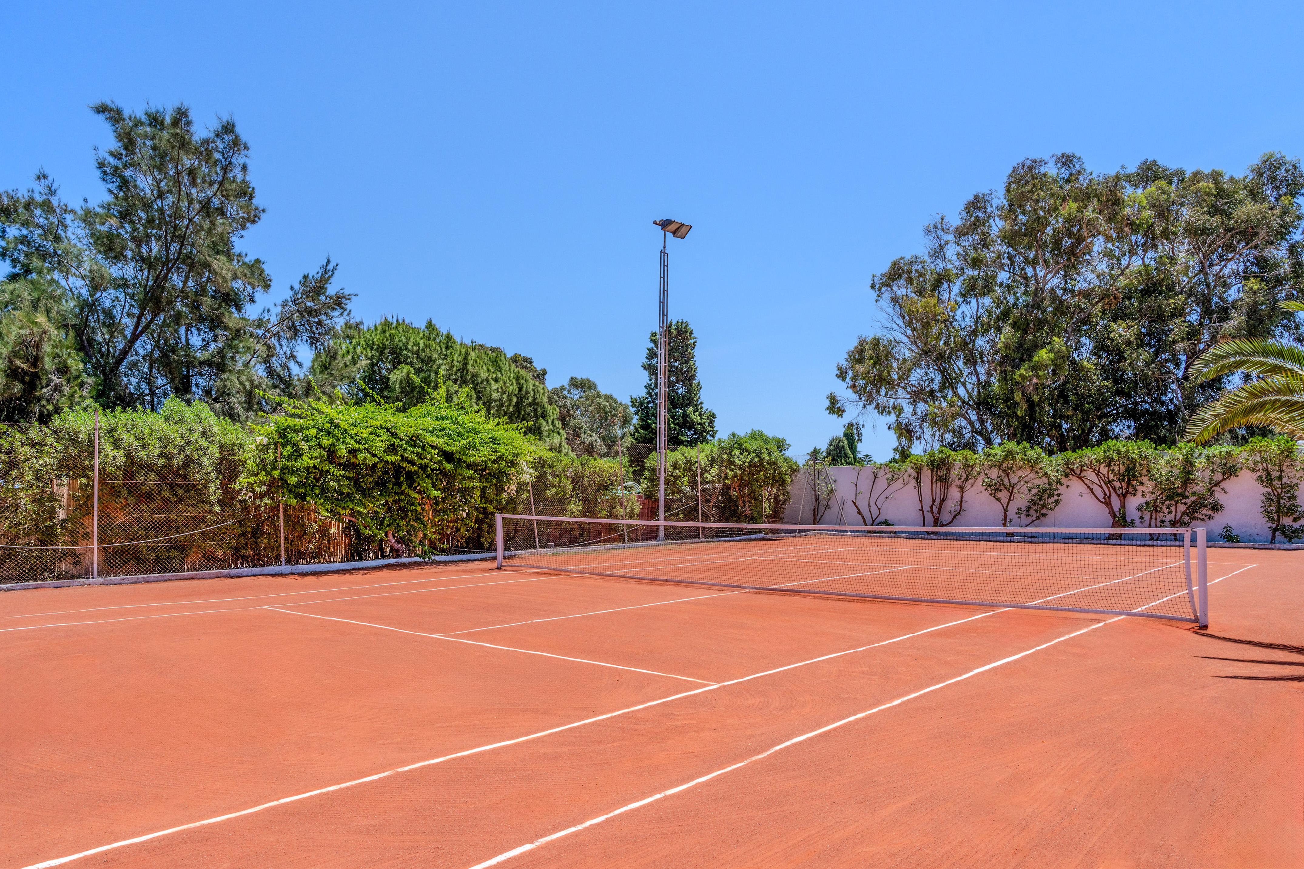 Cancha de tenis de arcilla con red, rodeada de árboles y cielo azul.