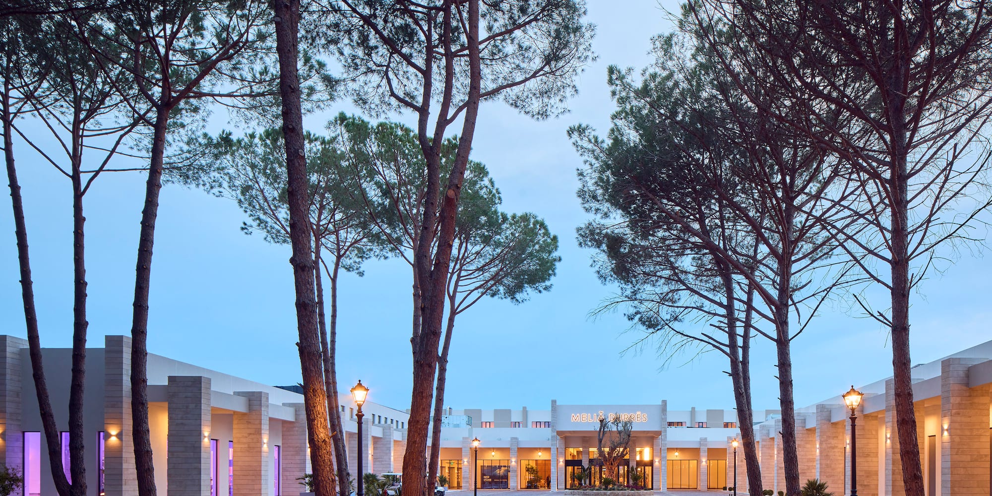 Avenue of the Baobabs with trees around it