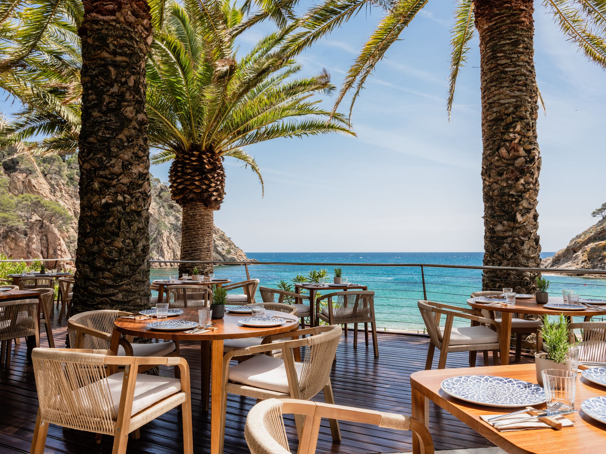 Coastal dining terrace with palm trees, set tables, and blue ocean view.