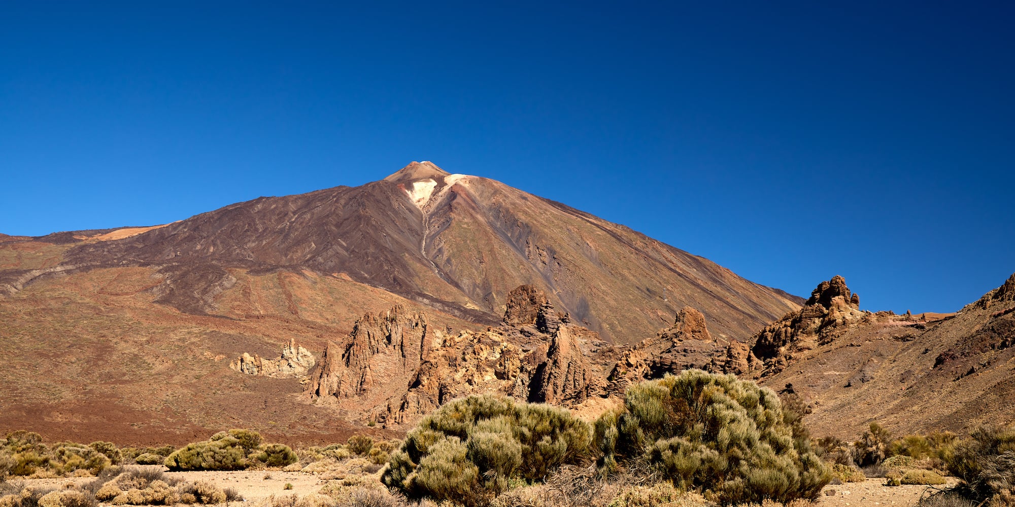 Teide with bushes in the desert