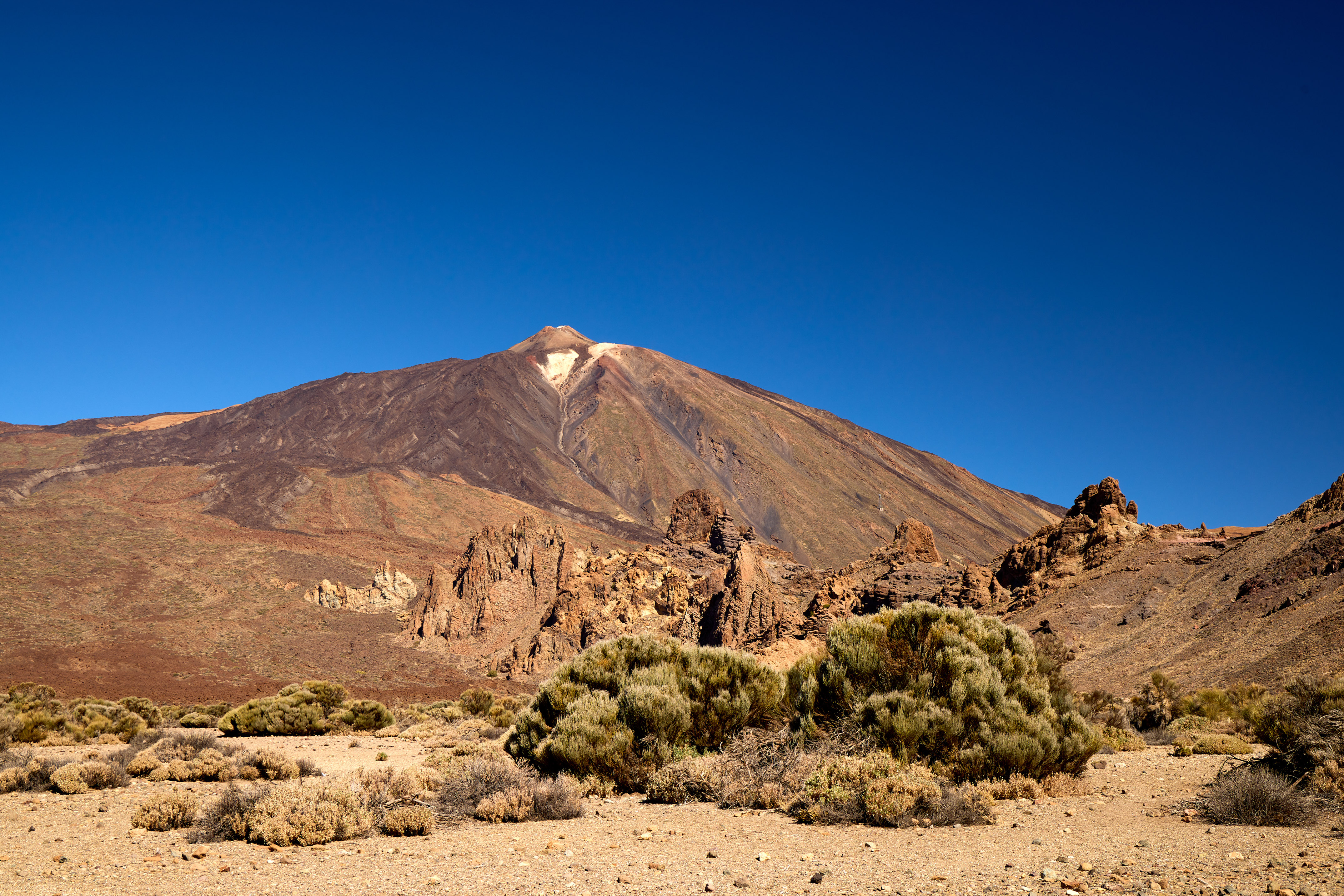 Teide with bushes in the desert