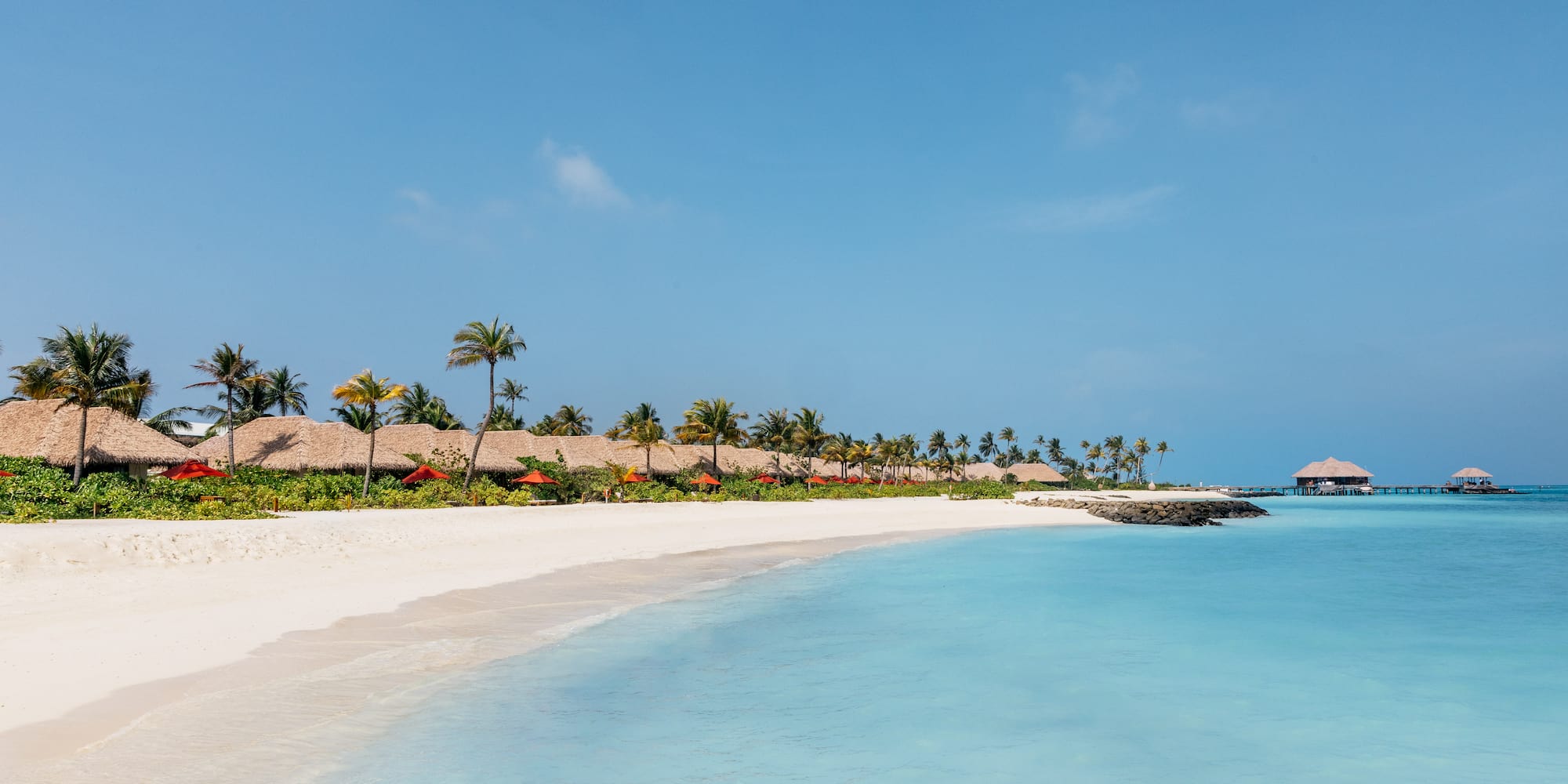 a beach with palm trees and a dock