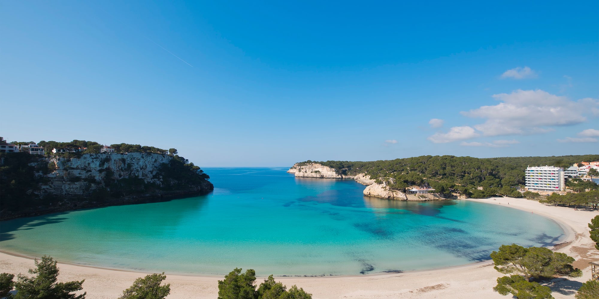 a beach with trees and a blue body of water