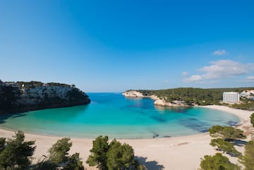 a beach with trees and a blue body of water