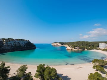 a beach with trees and a blue body of water