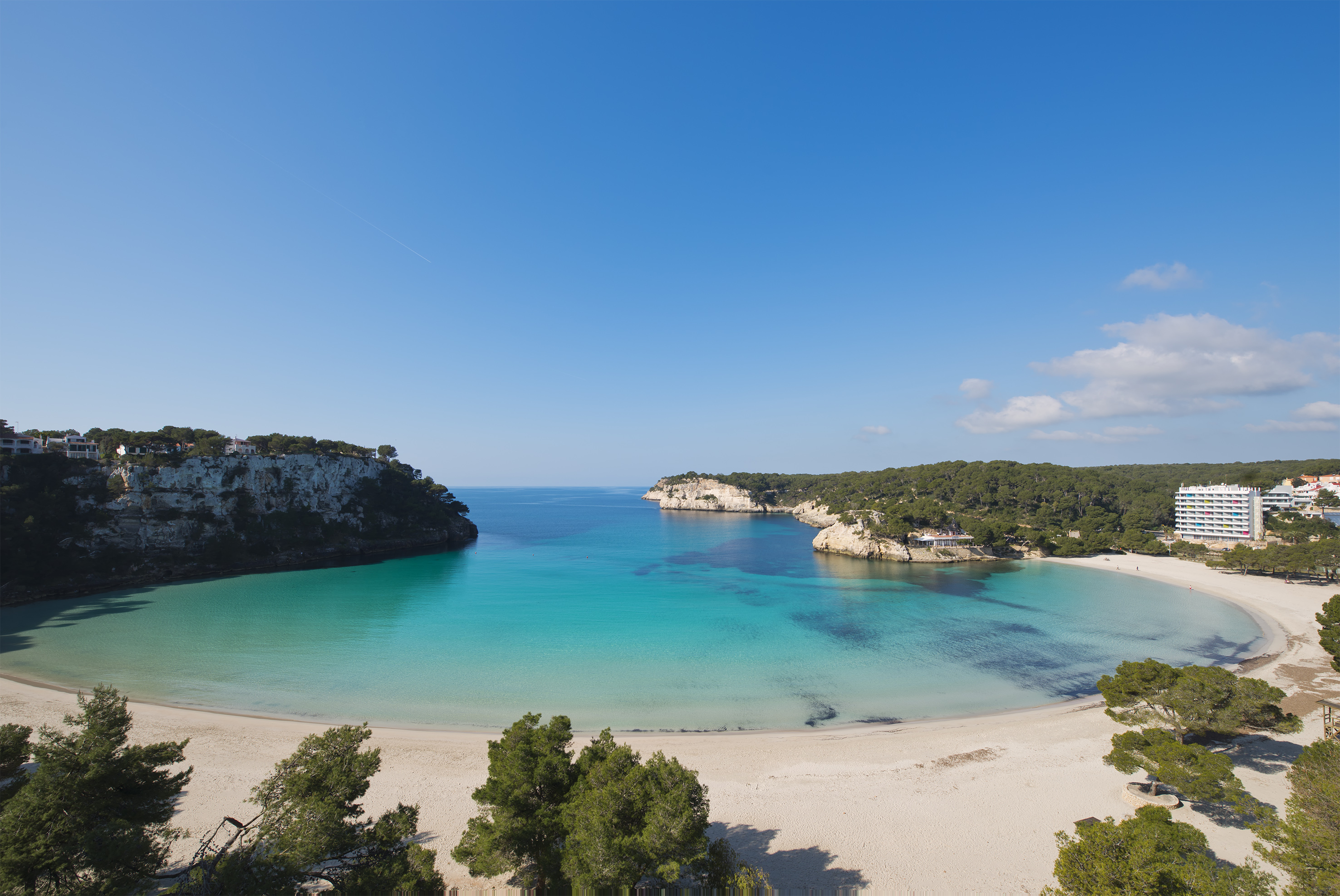 a beach with trees and a blue body of water
