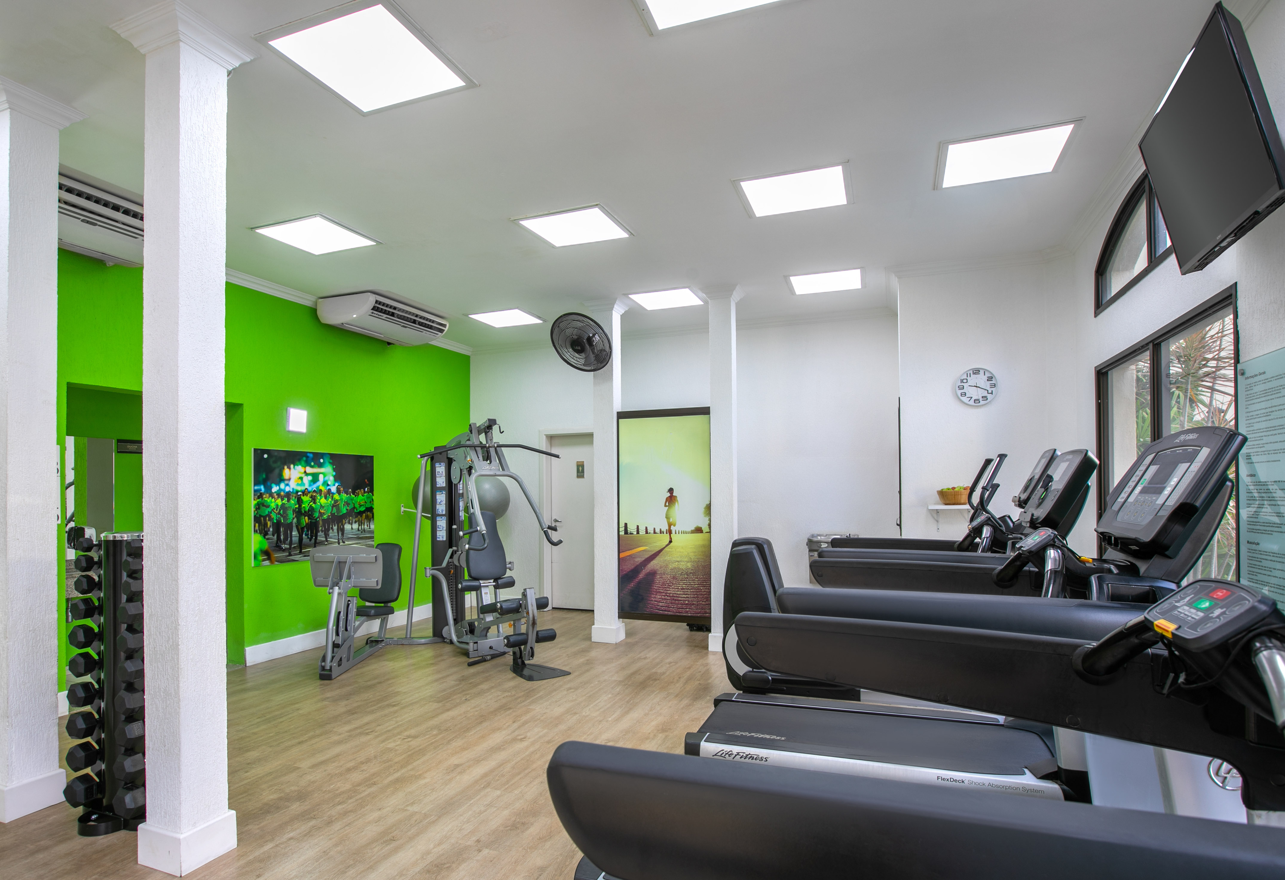 Bright gym with treadmills, dumbbell rack, and multi-gym against a green wall.