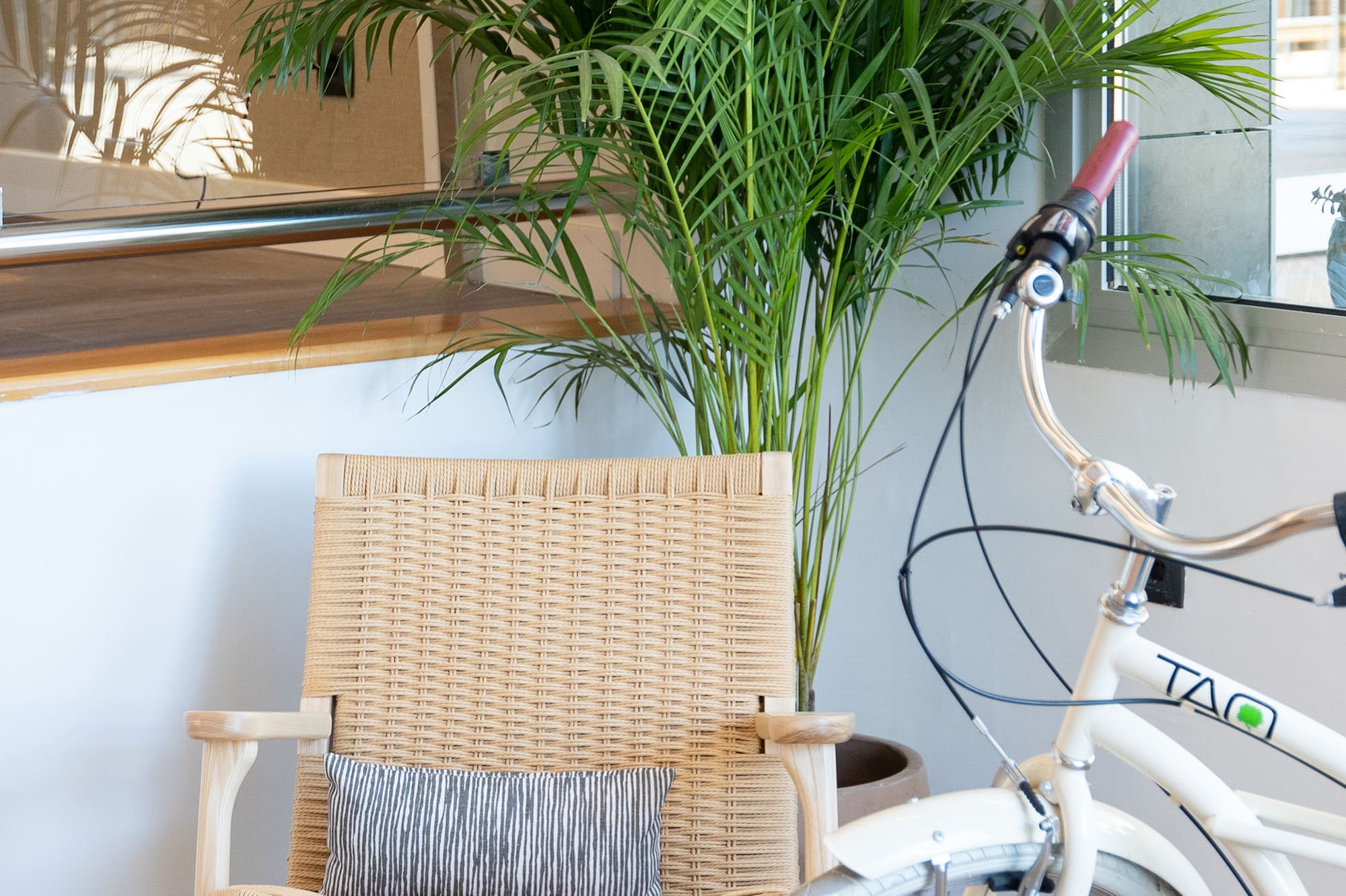 Modern decor: woven chair, palm, white bicycle, striped pillow.