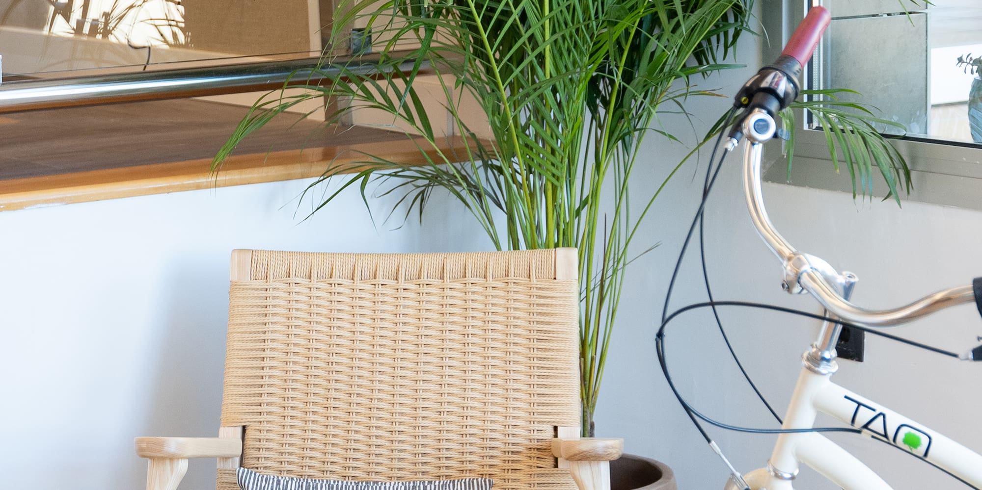 a bicycle and a chair in front of a plant