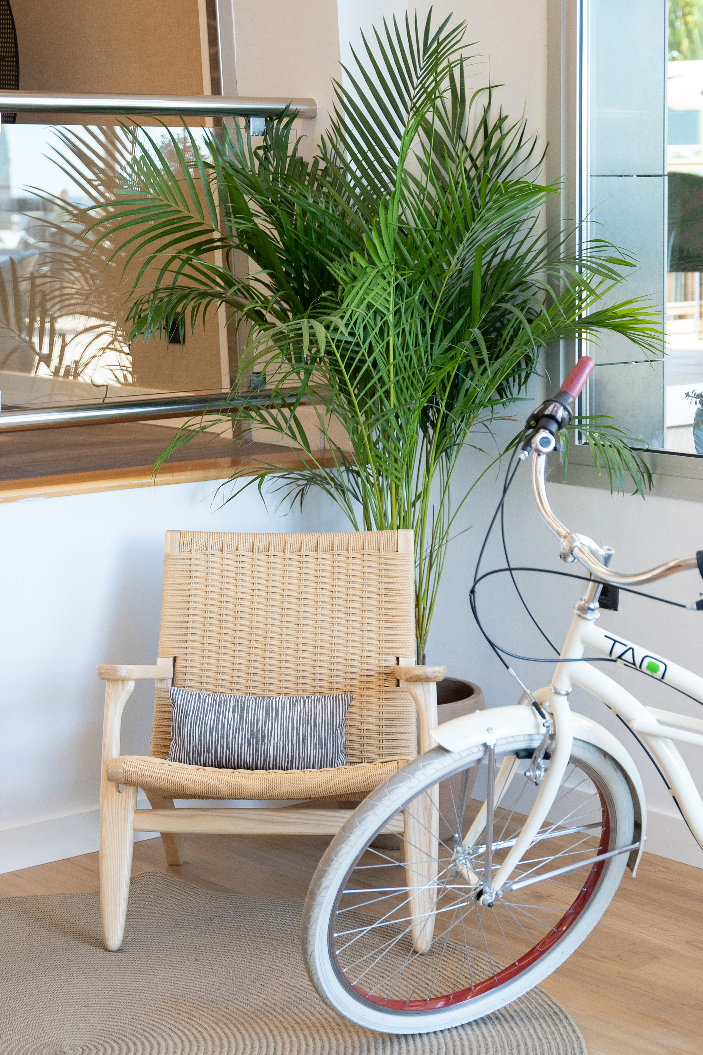 Modern decor: woven chair, palm, white bicycle, striped pillow.