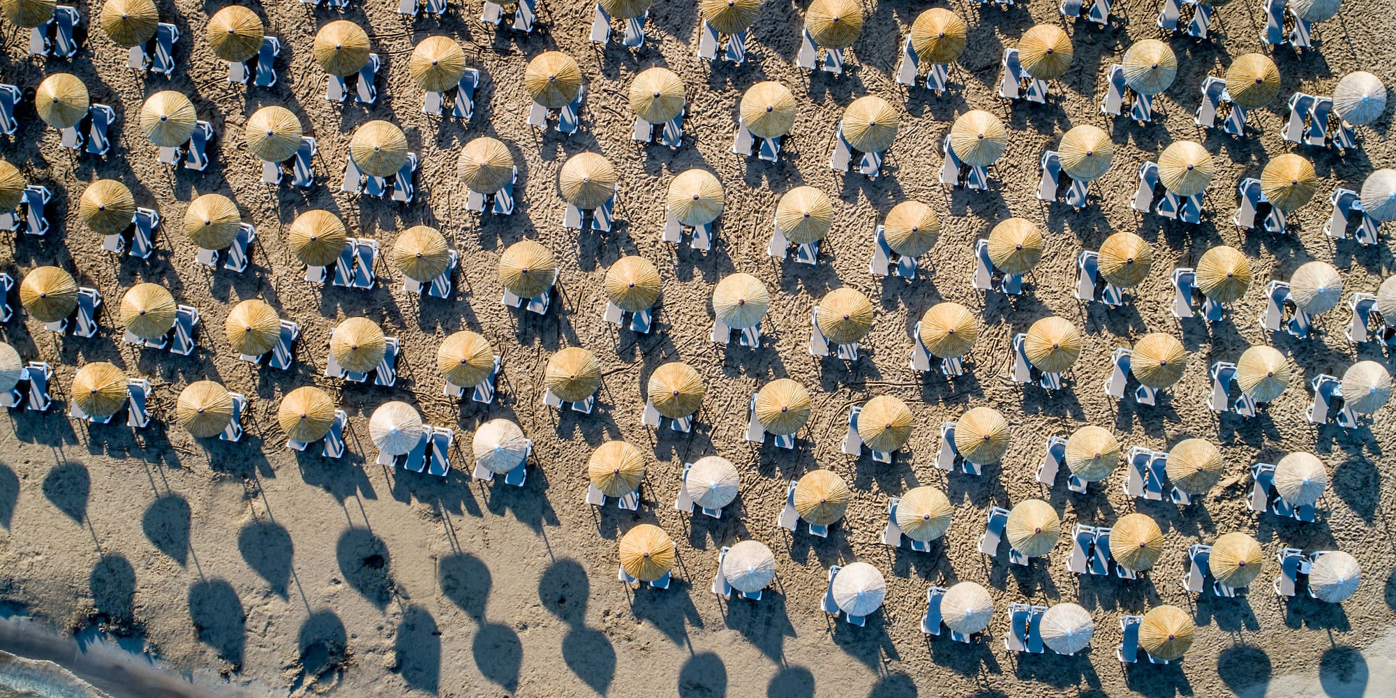 a group of umbrellas on a beach