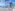 Luxury resort infinity pool with ocean view, palm trees, and sun loungers.