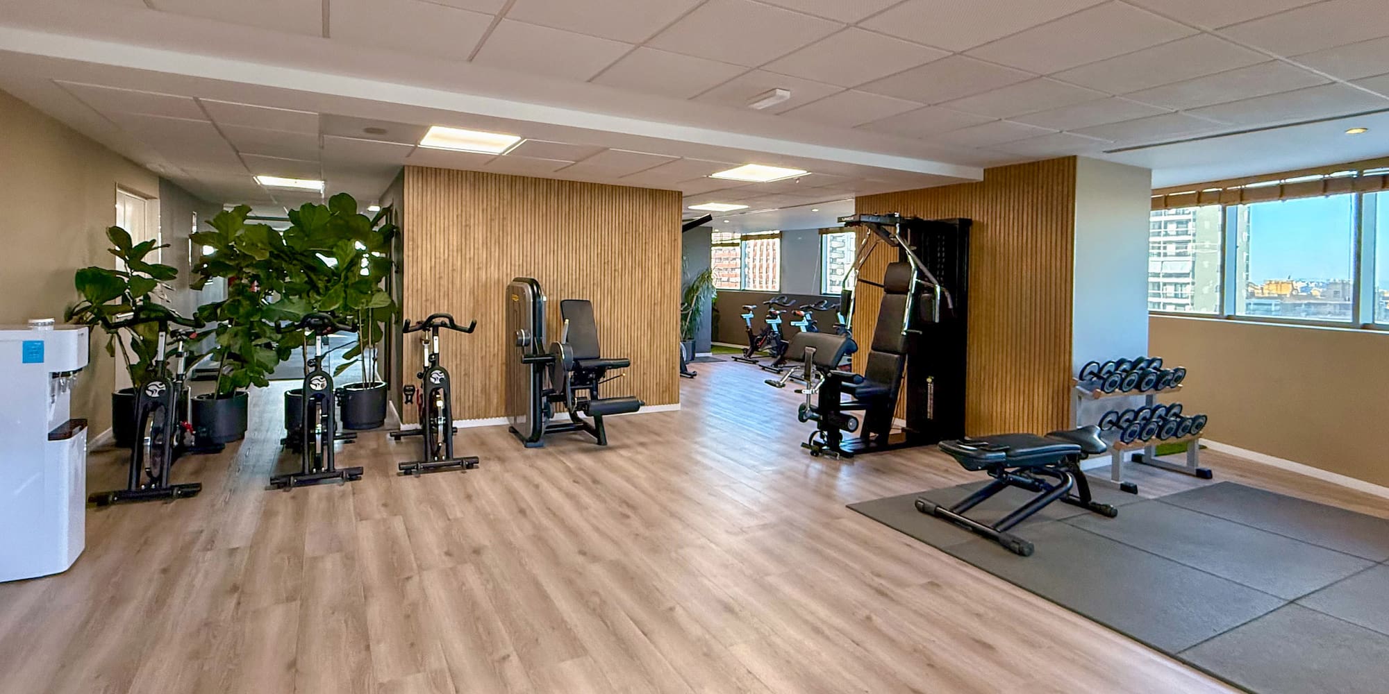 Modern gym with exercise bikes, weight machines, and dumbbells.