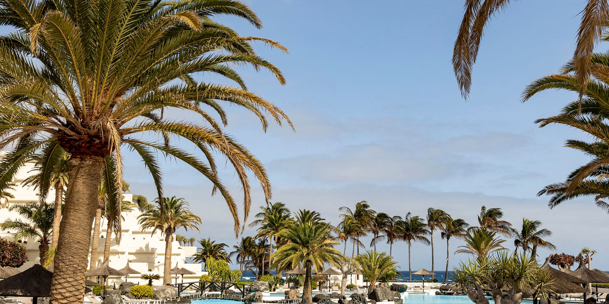 a pool with palm trees and a building