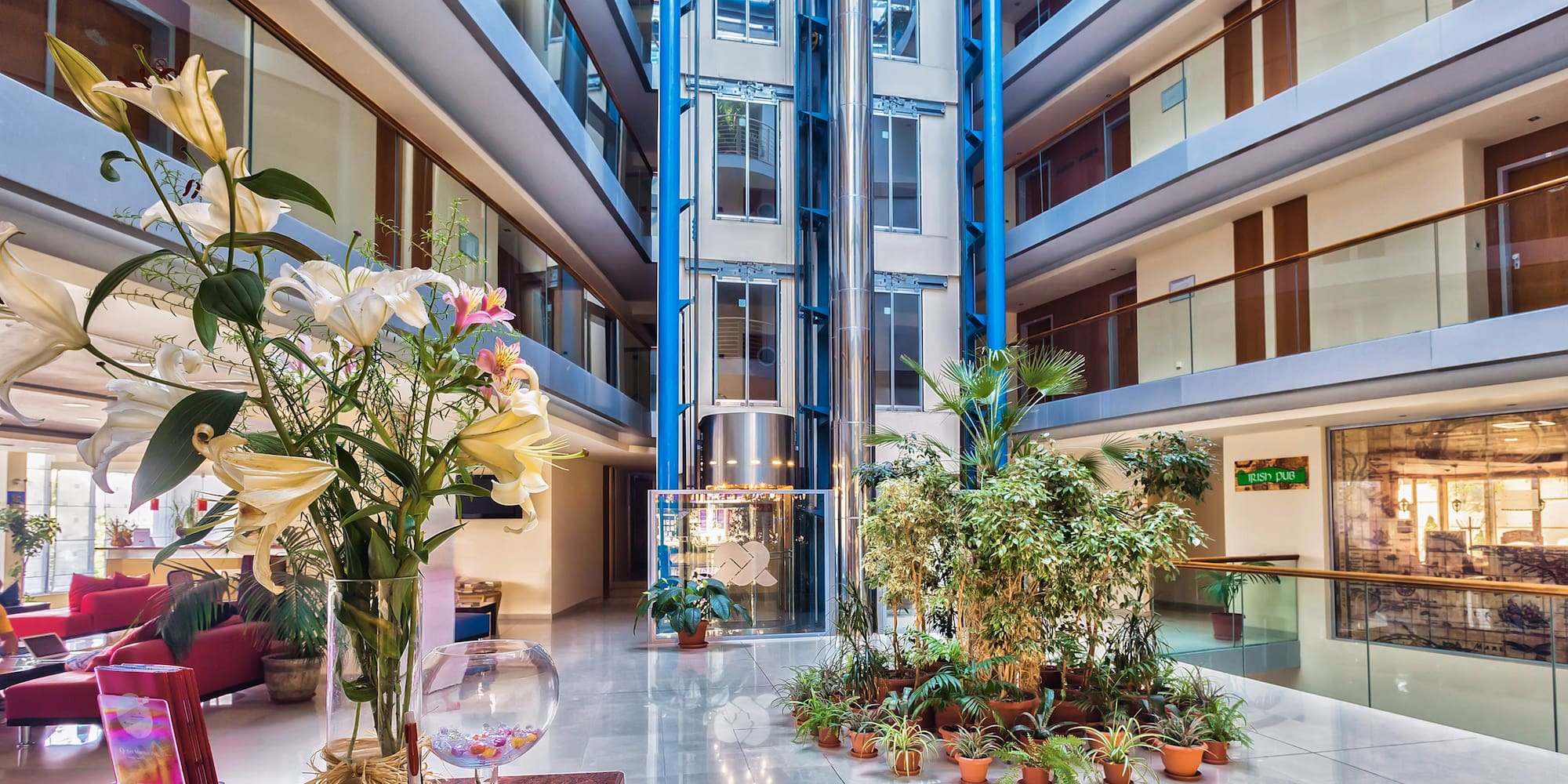 a glass floor with plants in it
