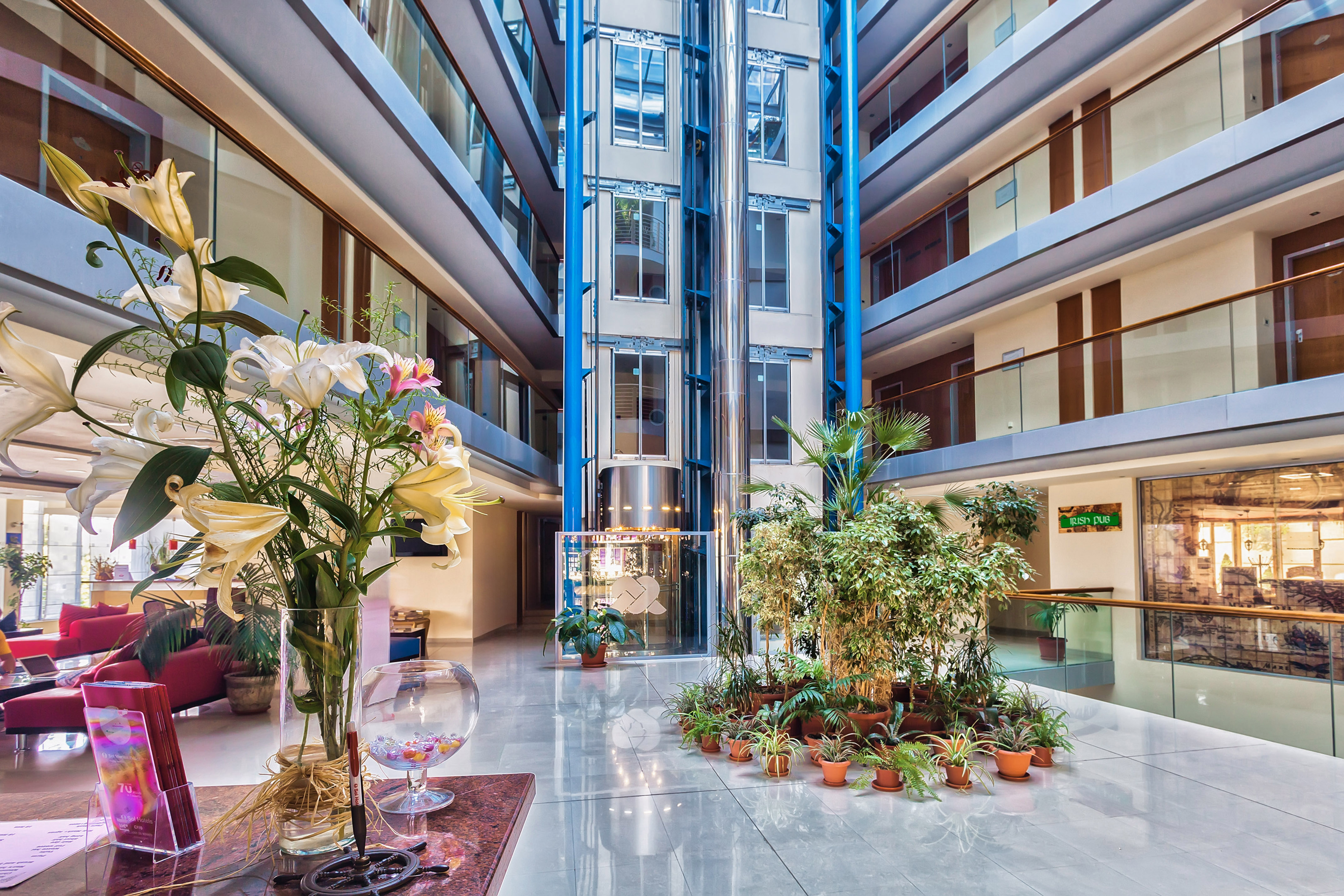 a glass floor with plants in it
