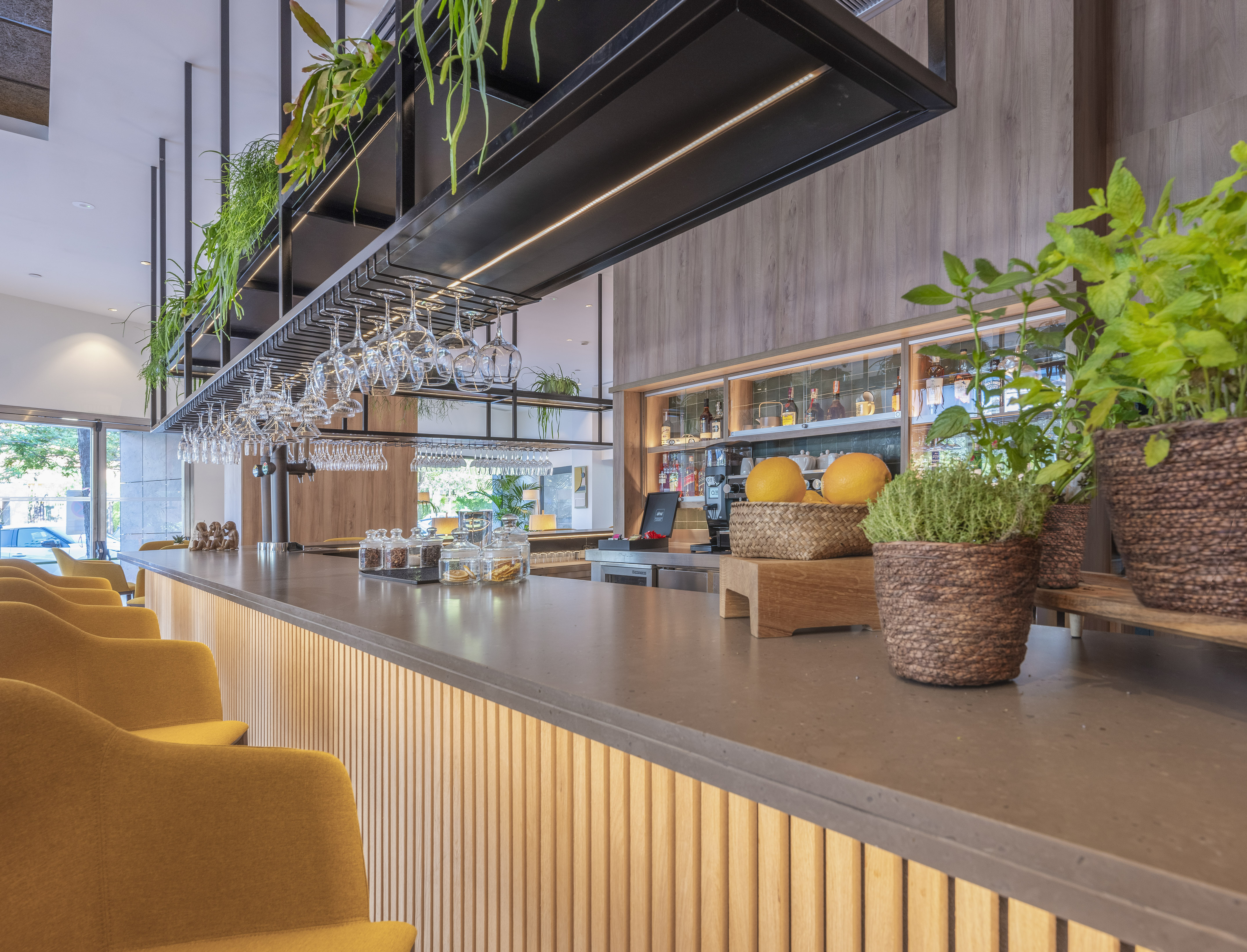 Modern bar interior with gold stools, wooden counter, and green plants.