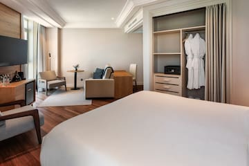 a room with a bed and a closet