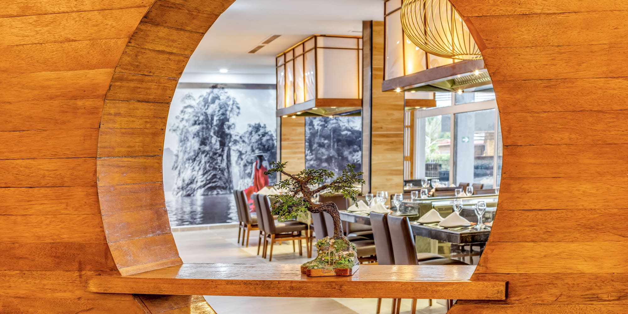 a circular object with a bonsai tree in it