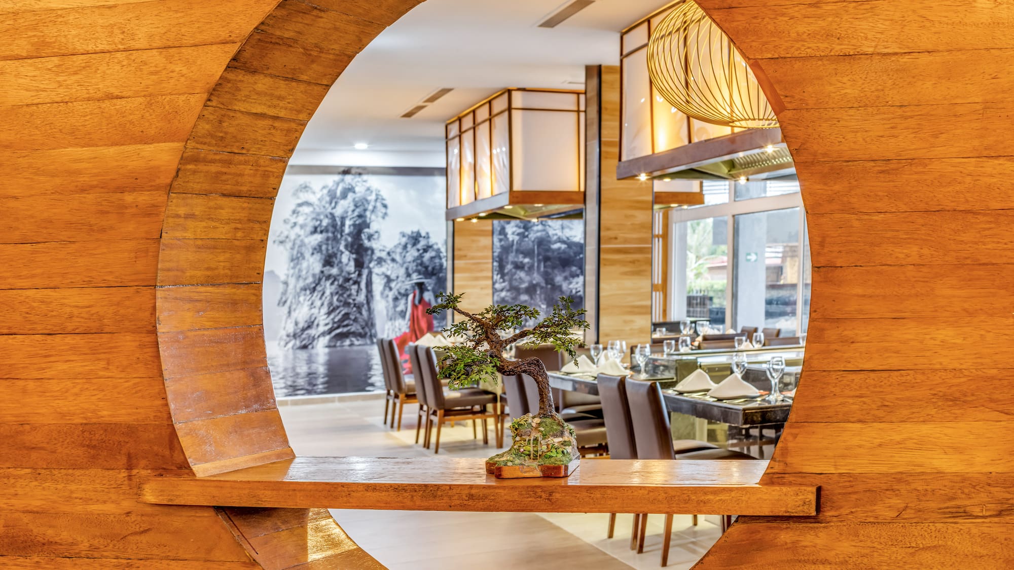 a circular object with a bonsai tree in it