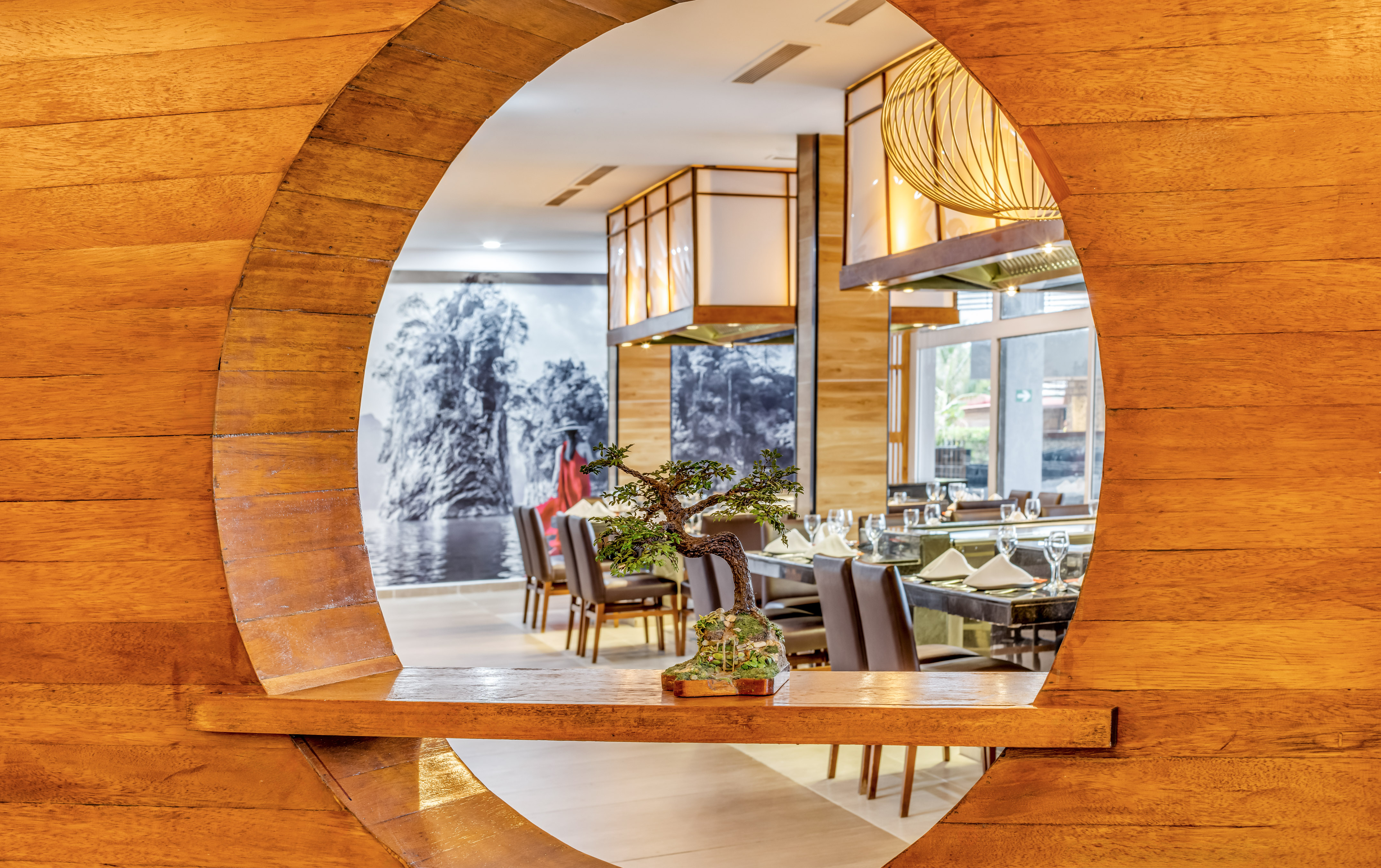 a circular object with a bonsai tree in it