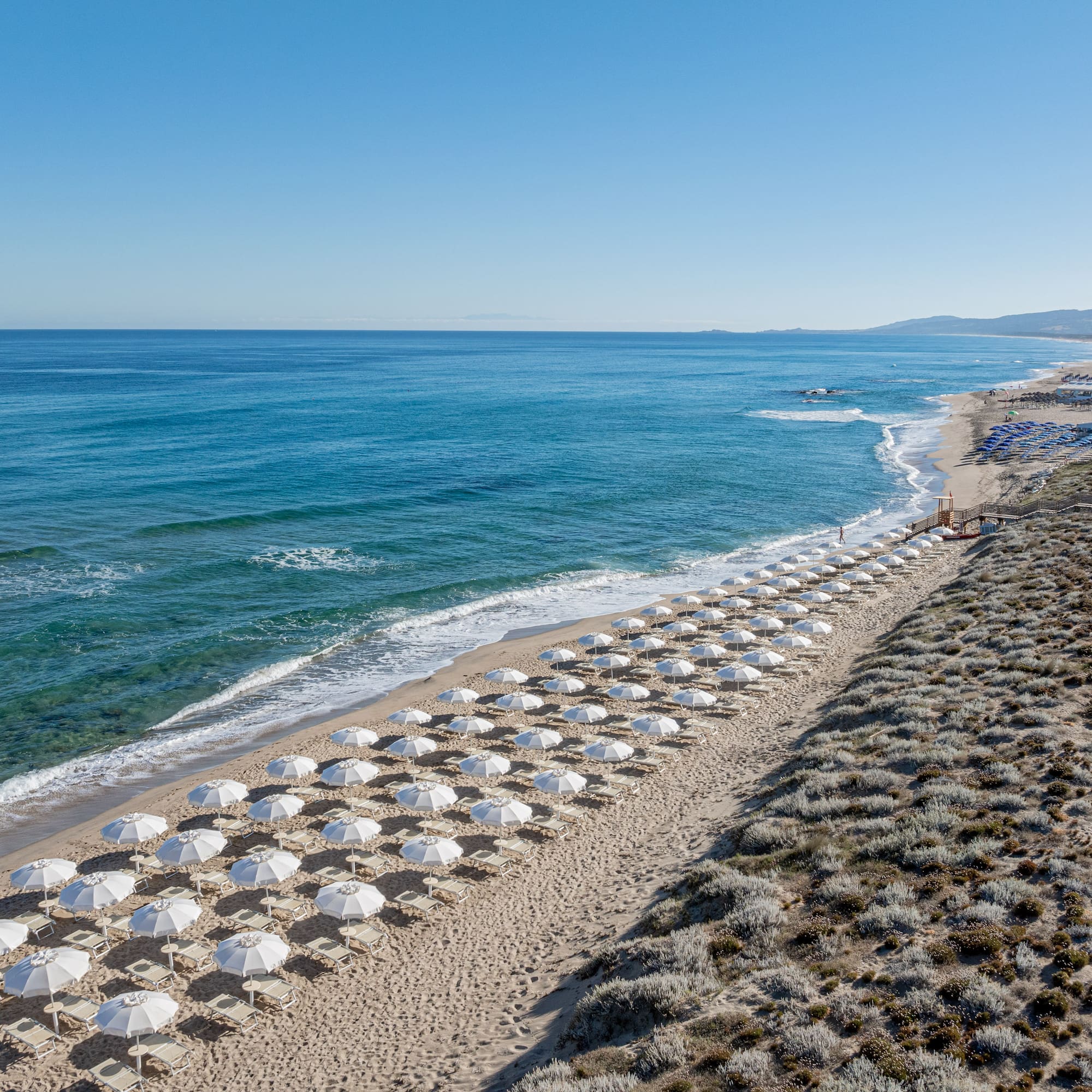 White umbrellas line a sandy beach with blue ocean and a coastal boardwalk.