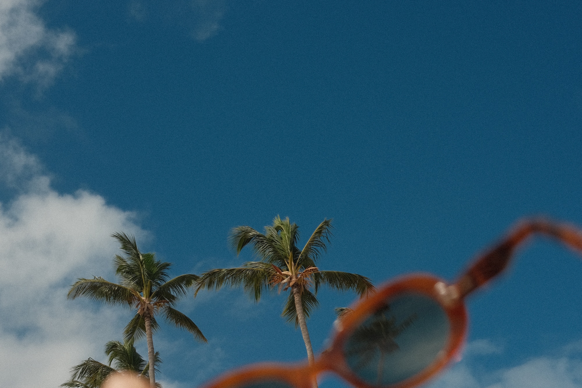 Tropical palm trees under blue sky, viewed through orange sunglasses.