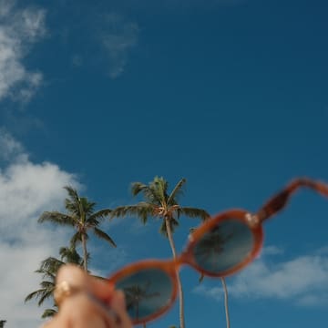 a hand holding sunglasses with palm trees in the background