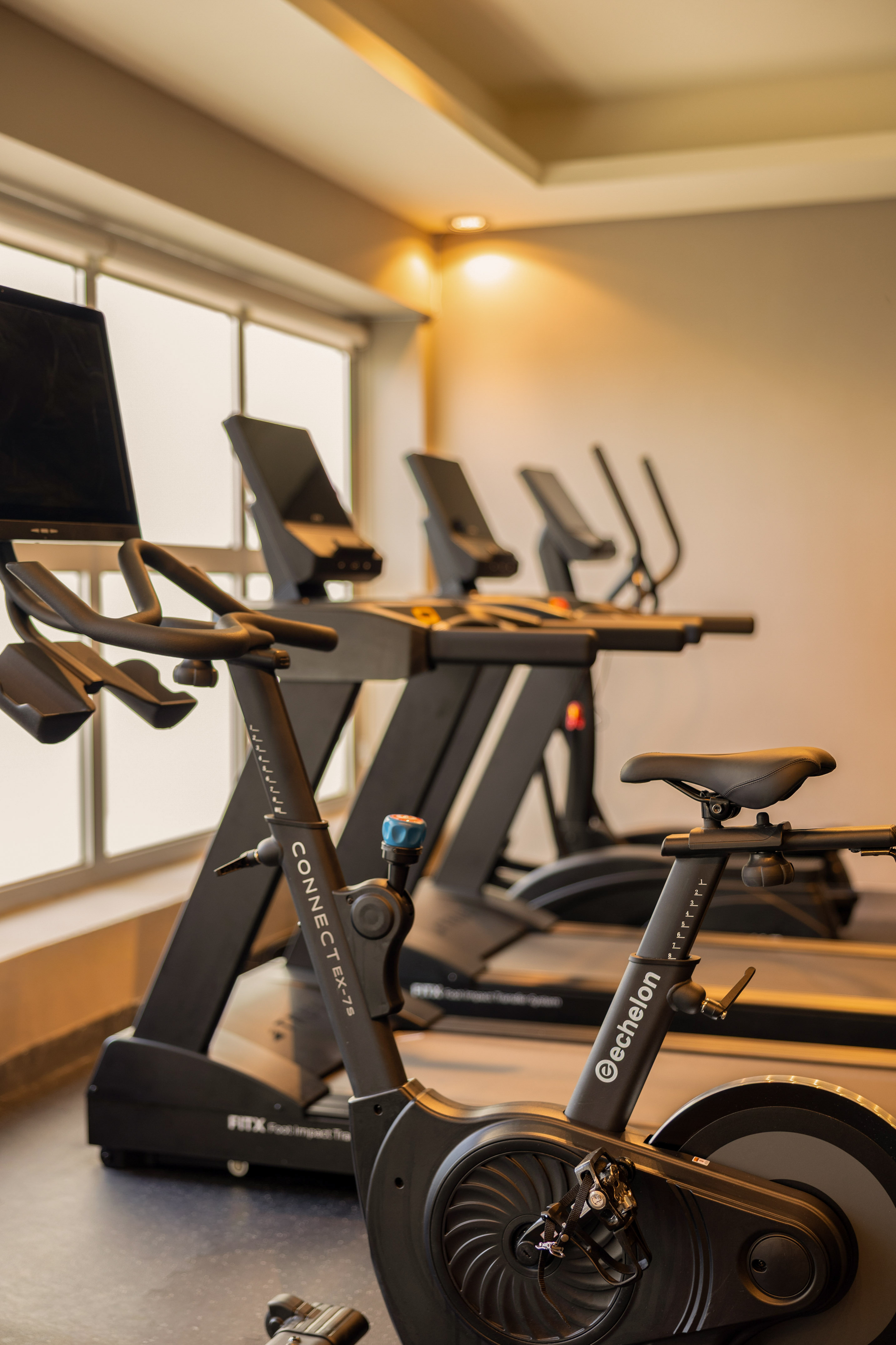 Echelon stationary bike and treadmills in a modern gym with windows.