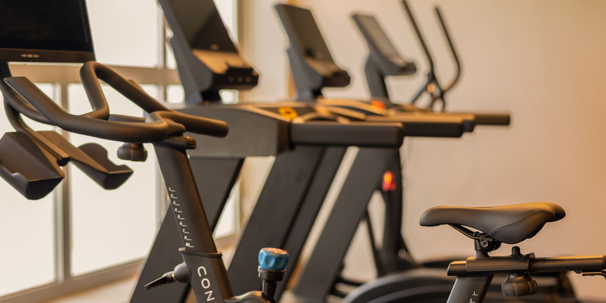 Echelon stationary bike and treadmills in a modern gym with windows.