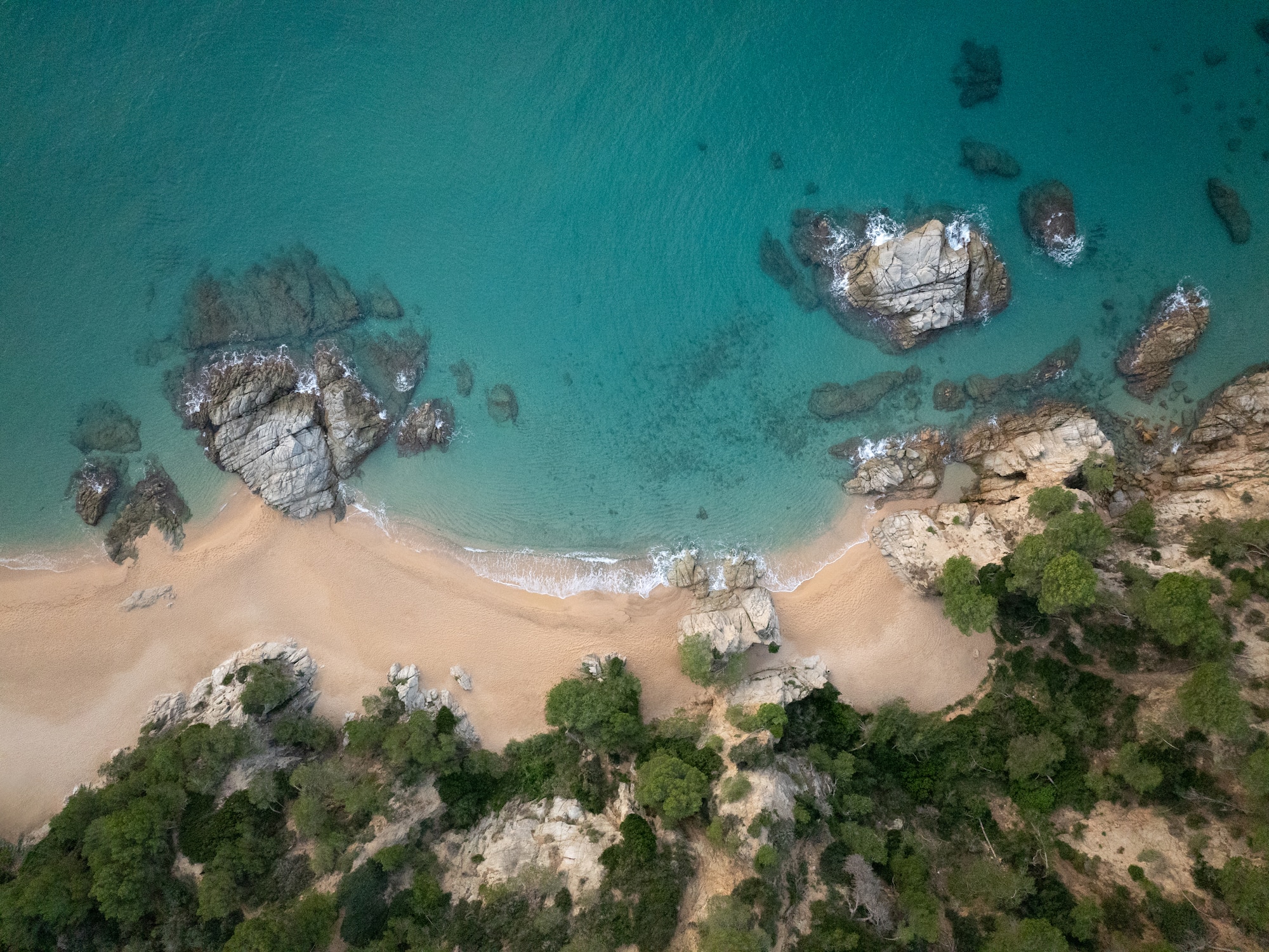 a beach with trees and rocks