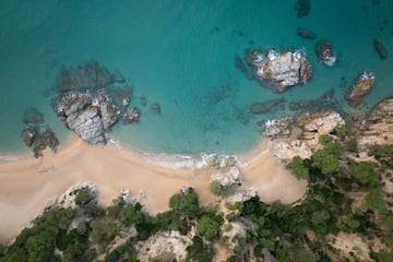 a beach with trees and rocks