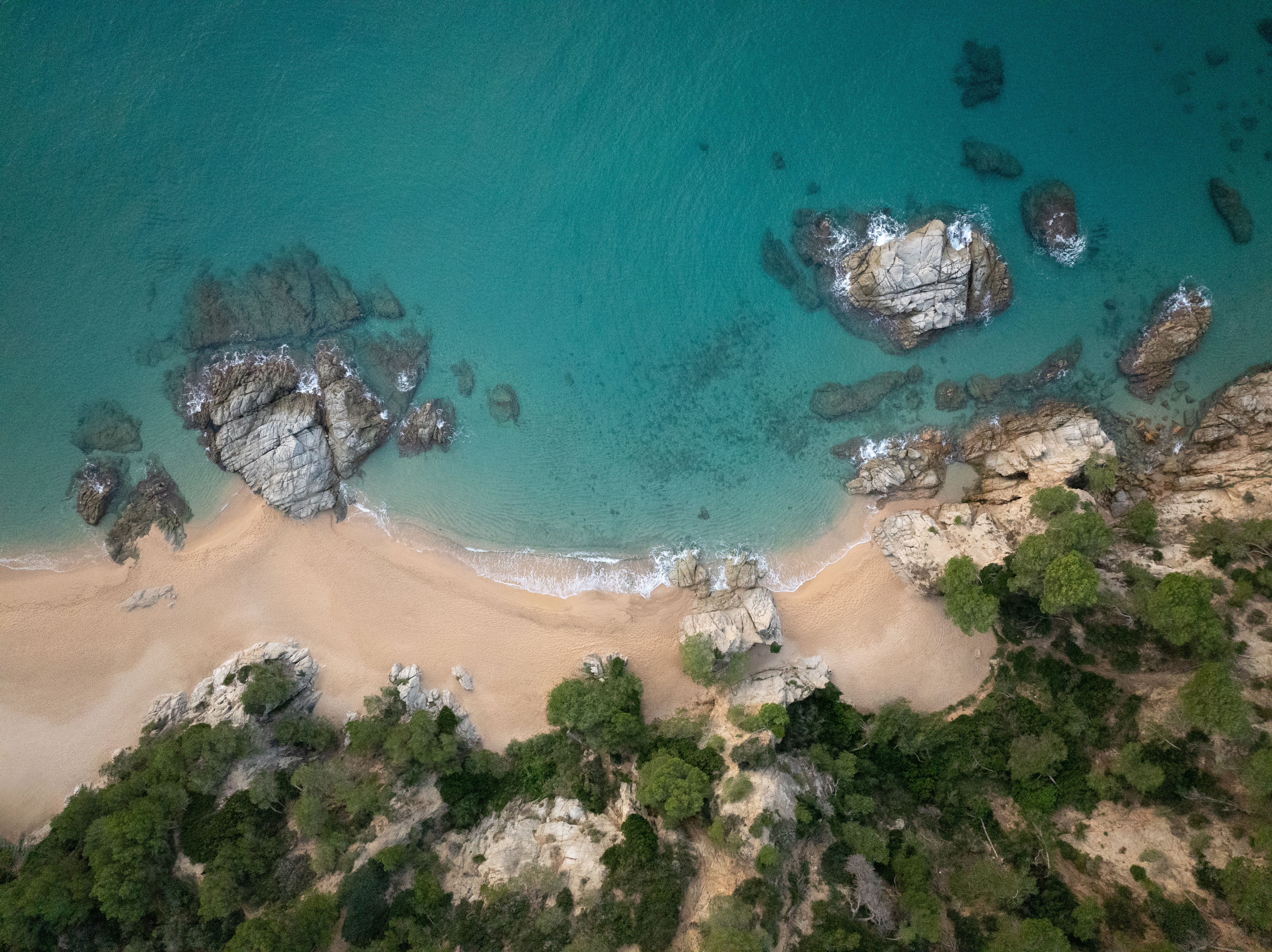 a beach with trees and rocks