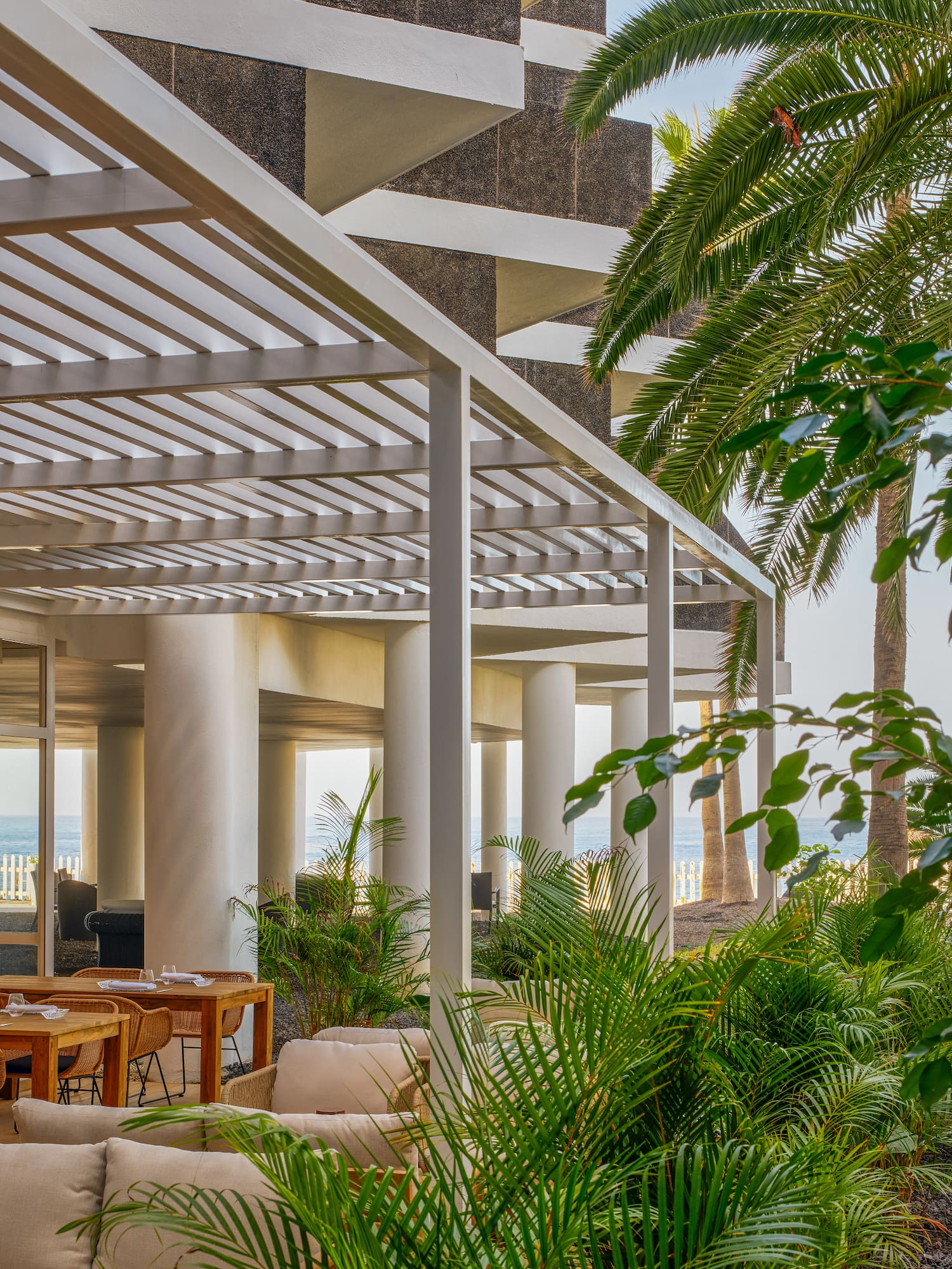 a white covered patio with a palm tree and a large building