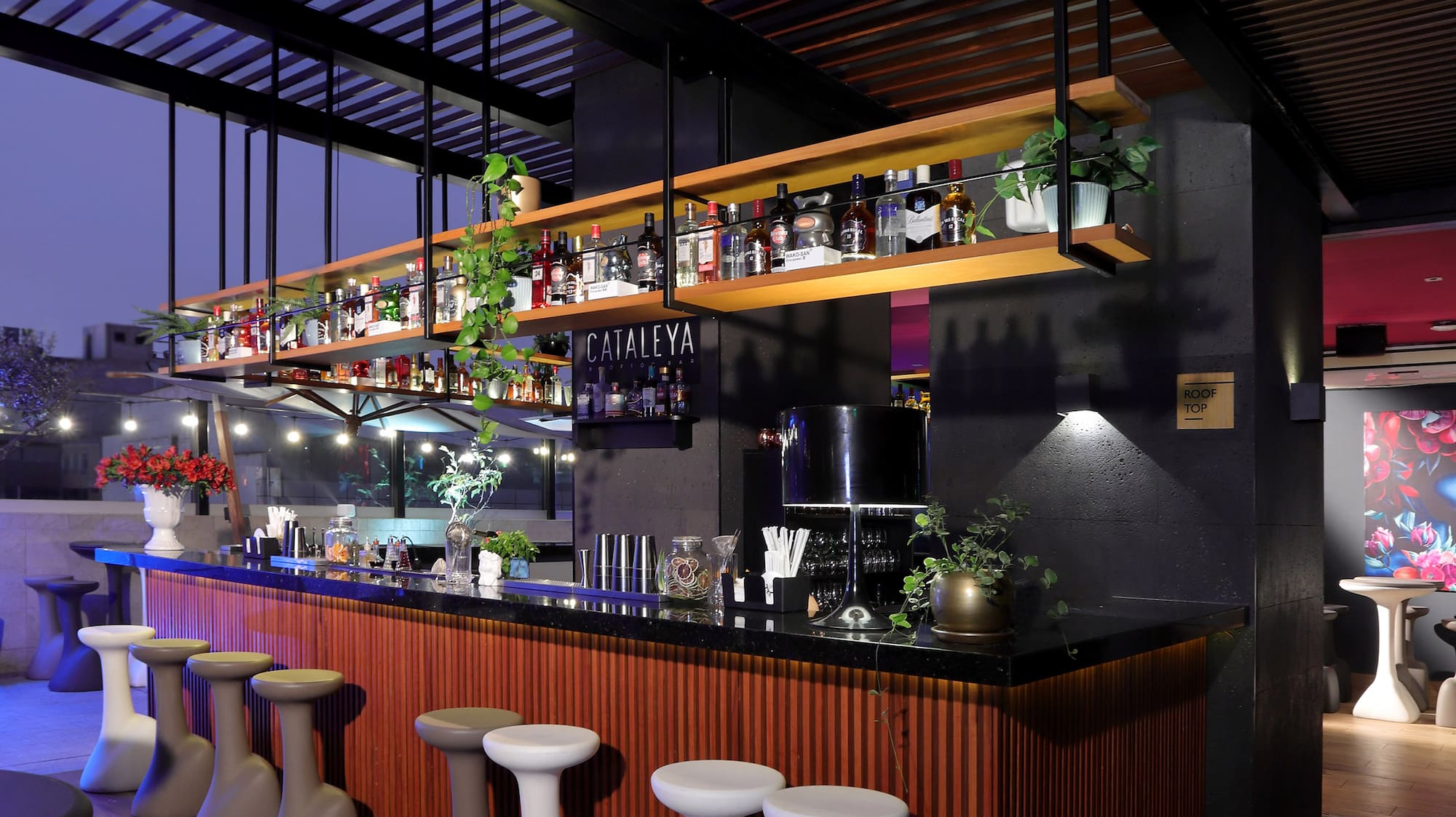 a bar with stools and shelves