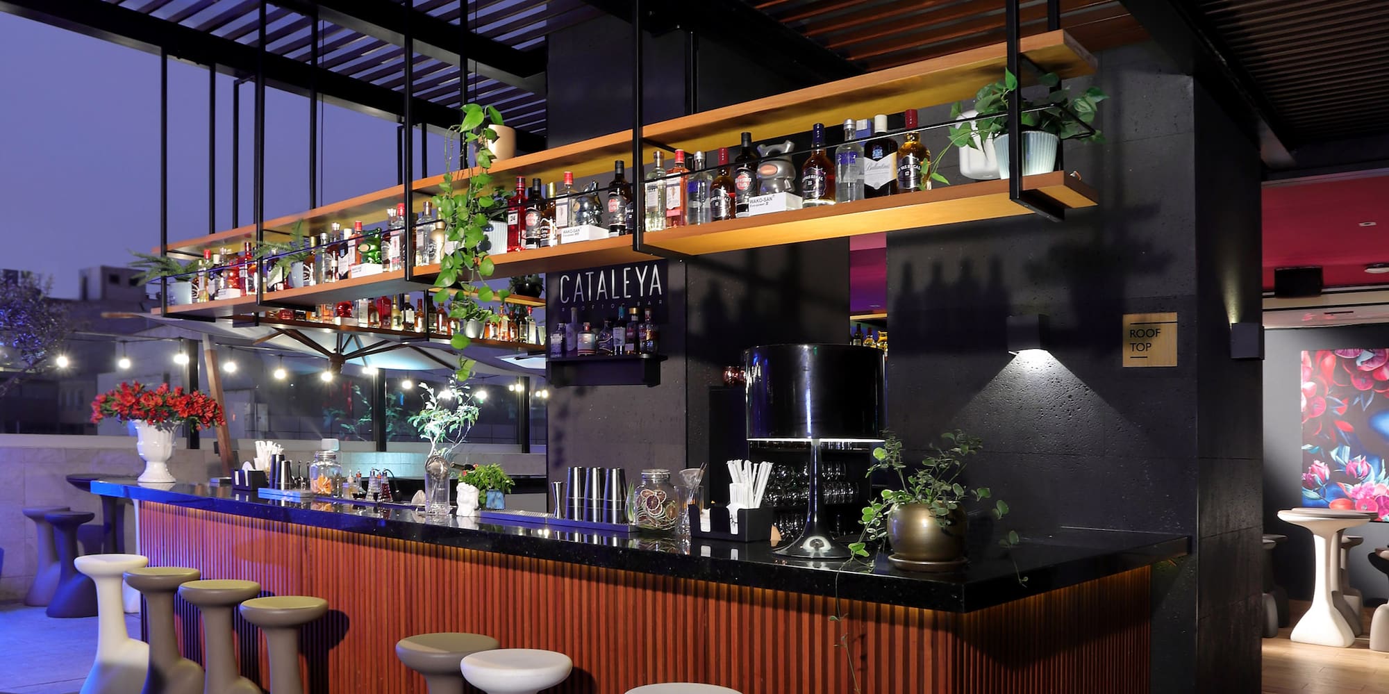 a bar with stools and shelves