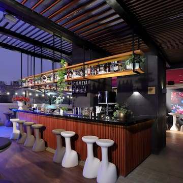 a bar with stools and shelves