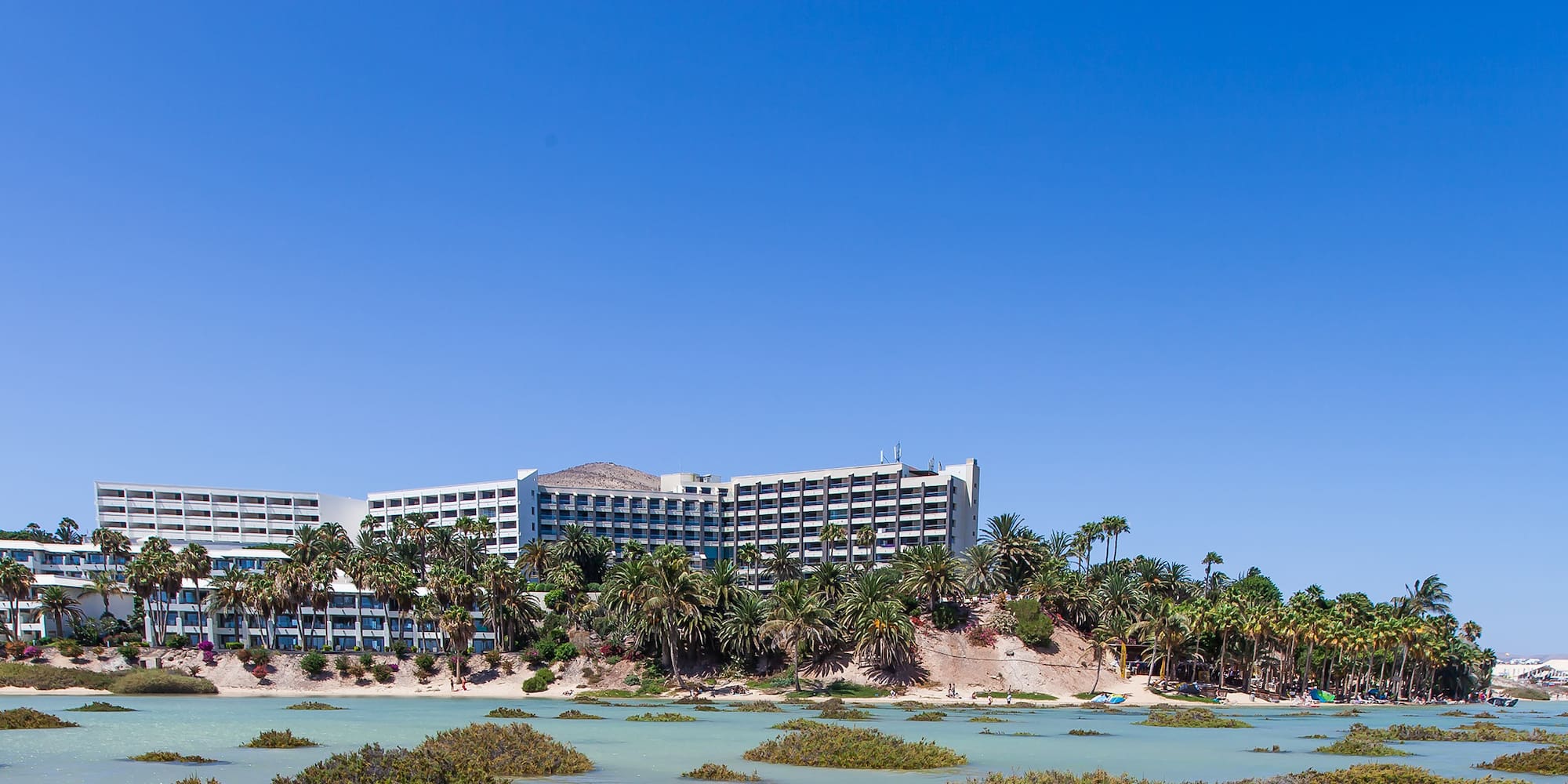 a building with palm trees on a hill