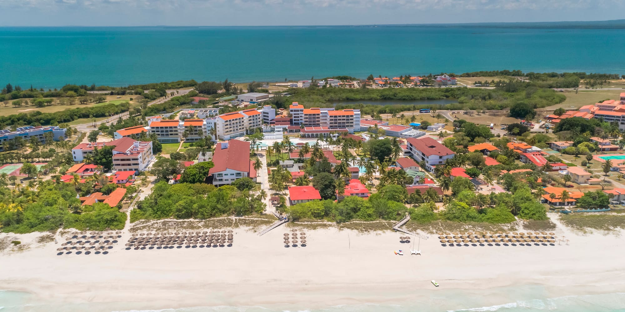 a beach with buildings and trees